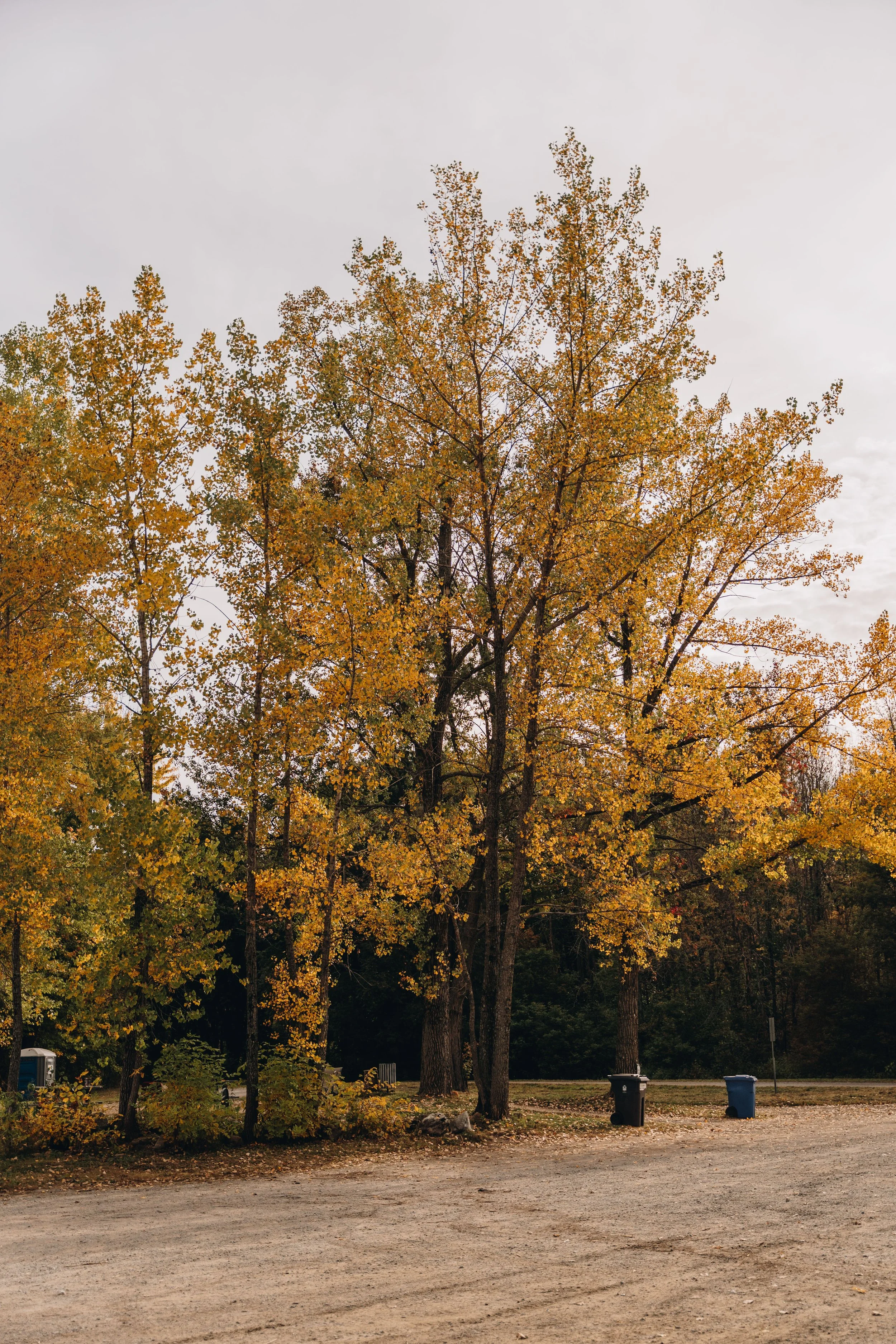 Parc Des Hirondelles onvasepromener2.jpg