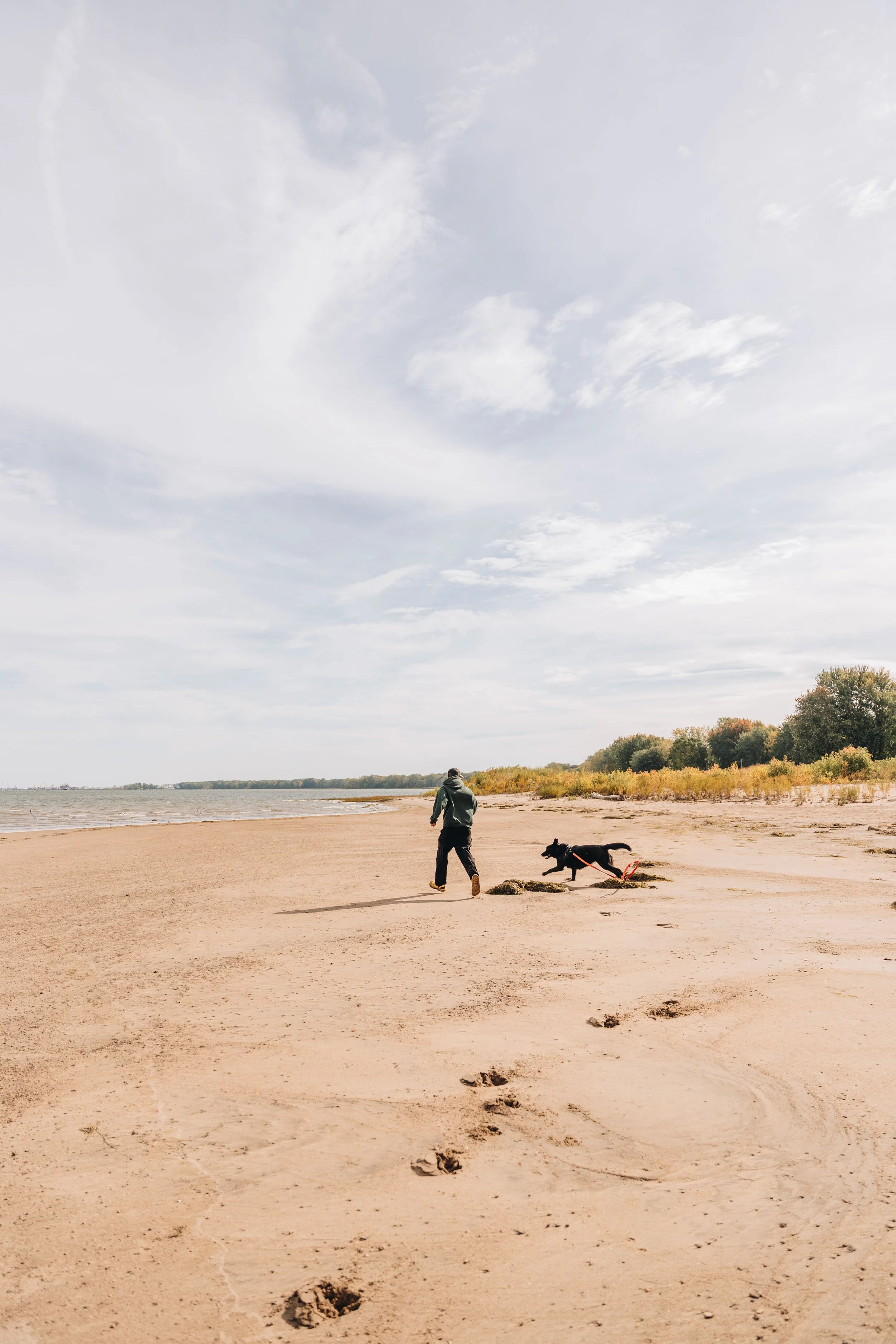 [Centre-du-Québec, Bécancour] La Petite Floride