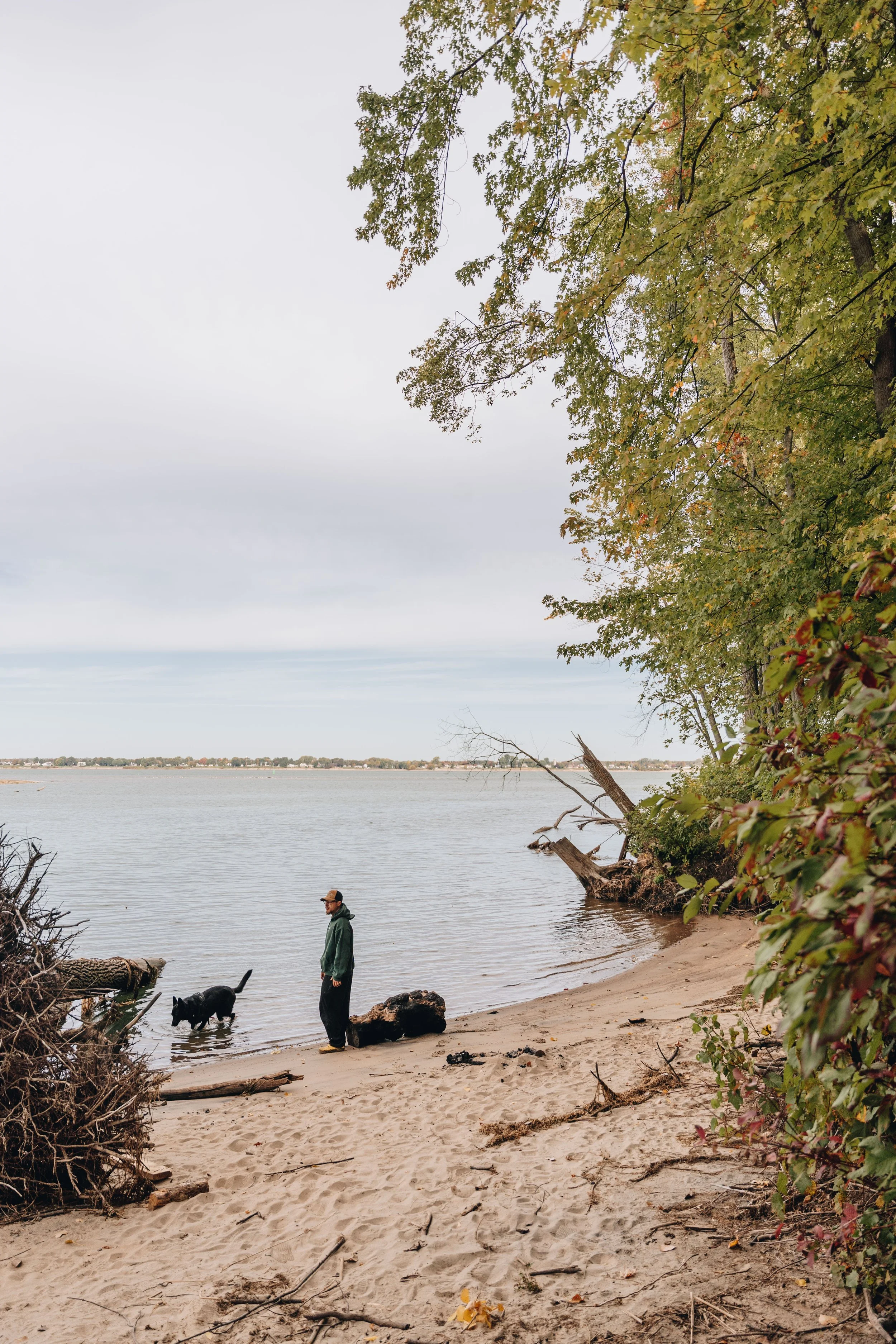La Petite Floride chien onvasepromener 2.jpg