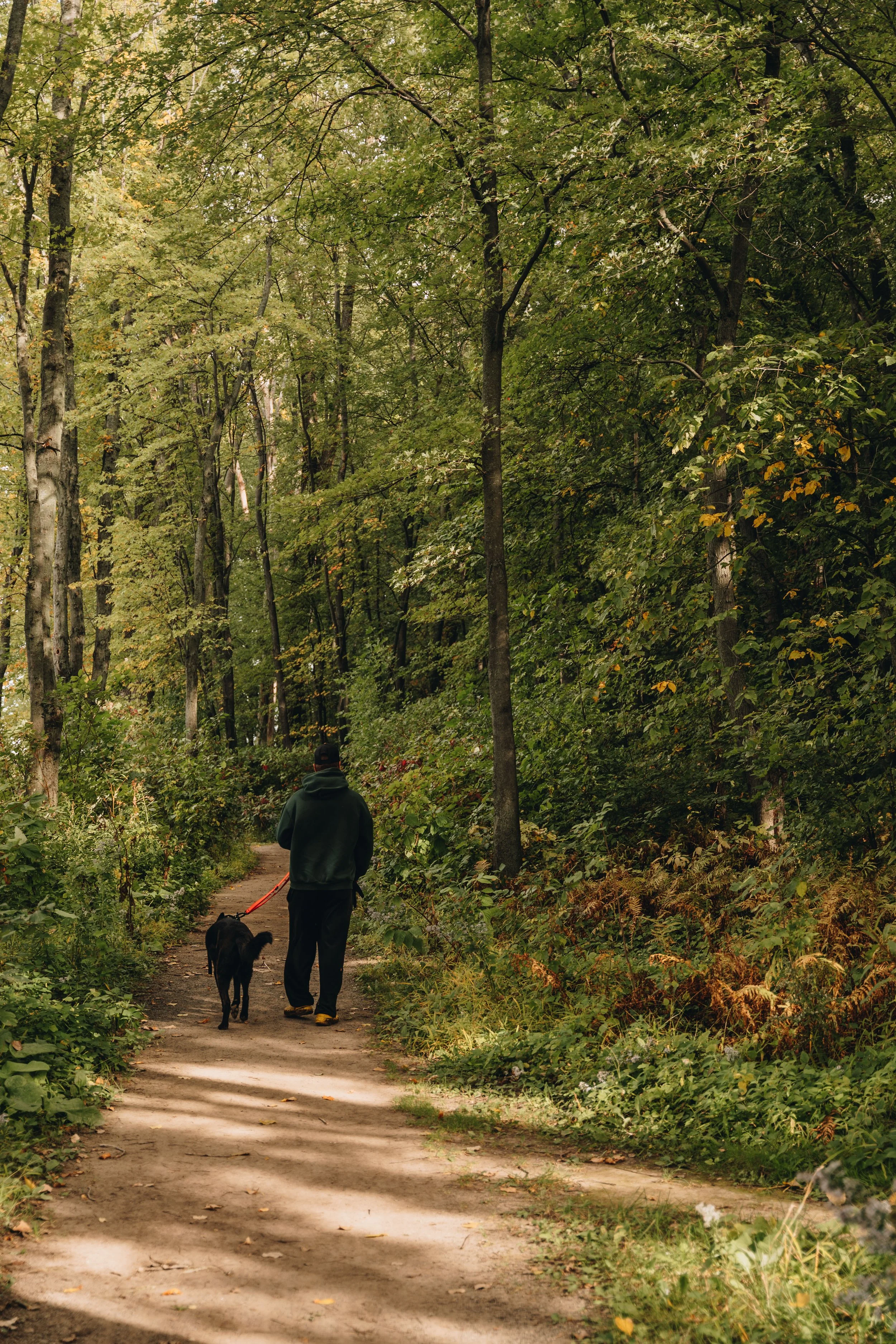 La Petite Floride chien onvasepromener 1.jpg