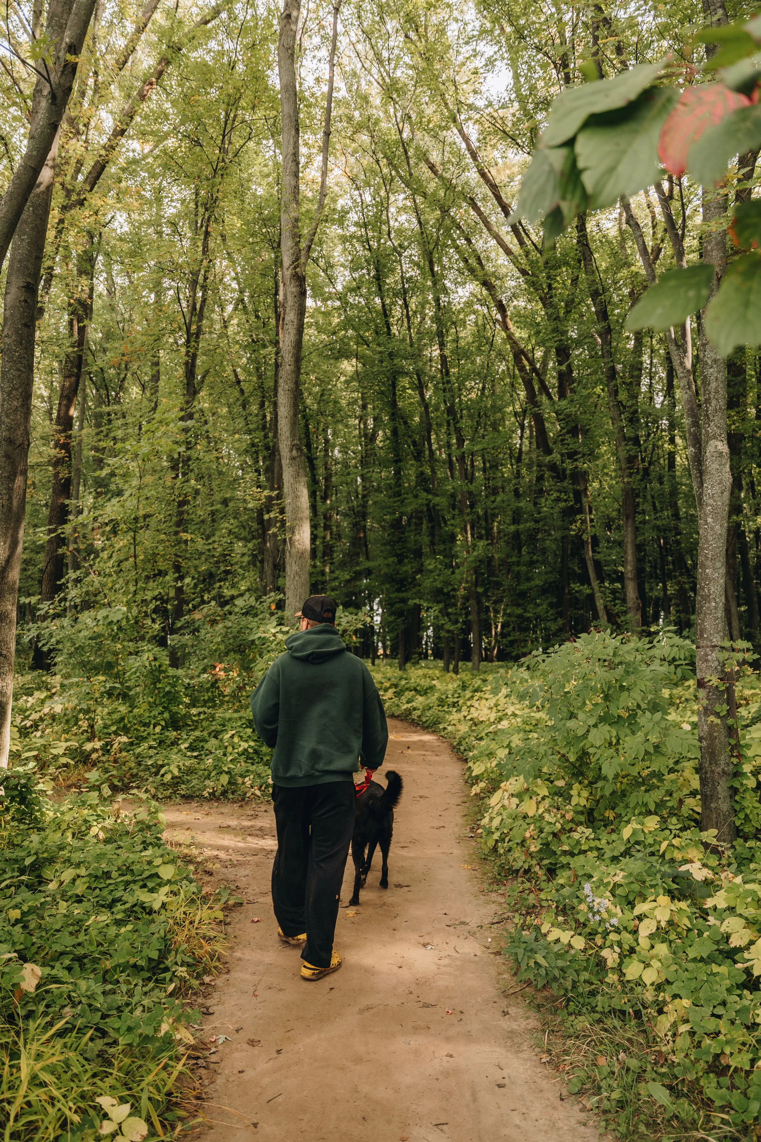 La Petite Floride chien onvasepromener 7.jpg