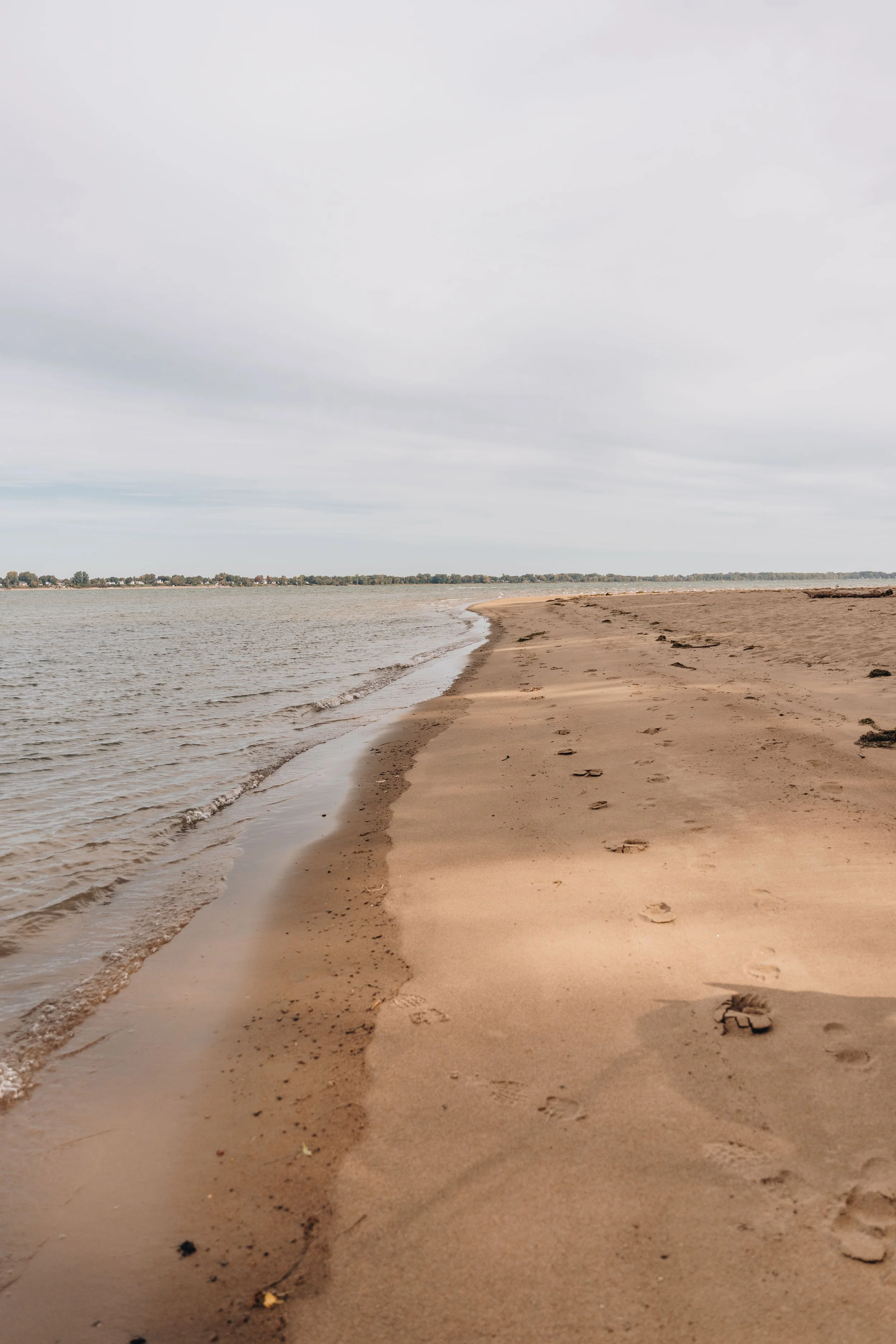 La Petite Floride chien onvasepromener 17.jpg