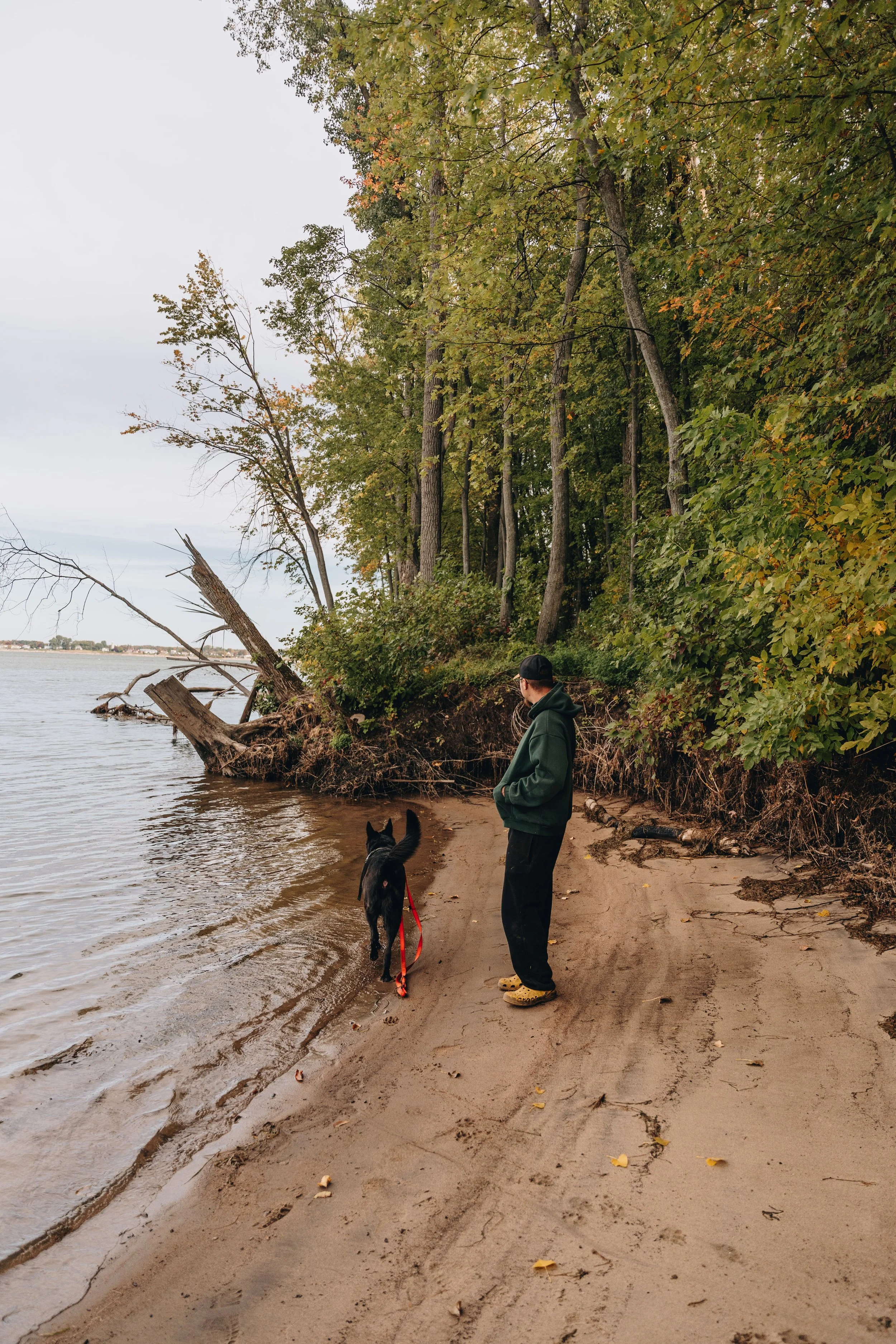 La Petite Floride chien onvasepromener 4.jpg