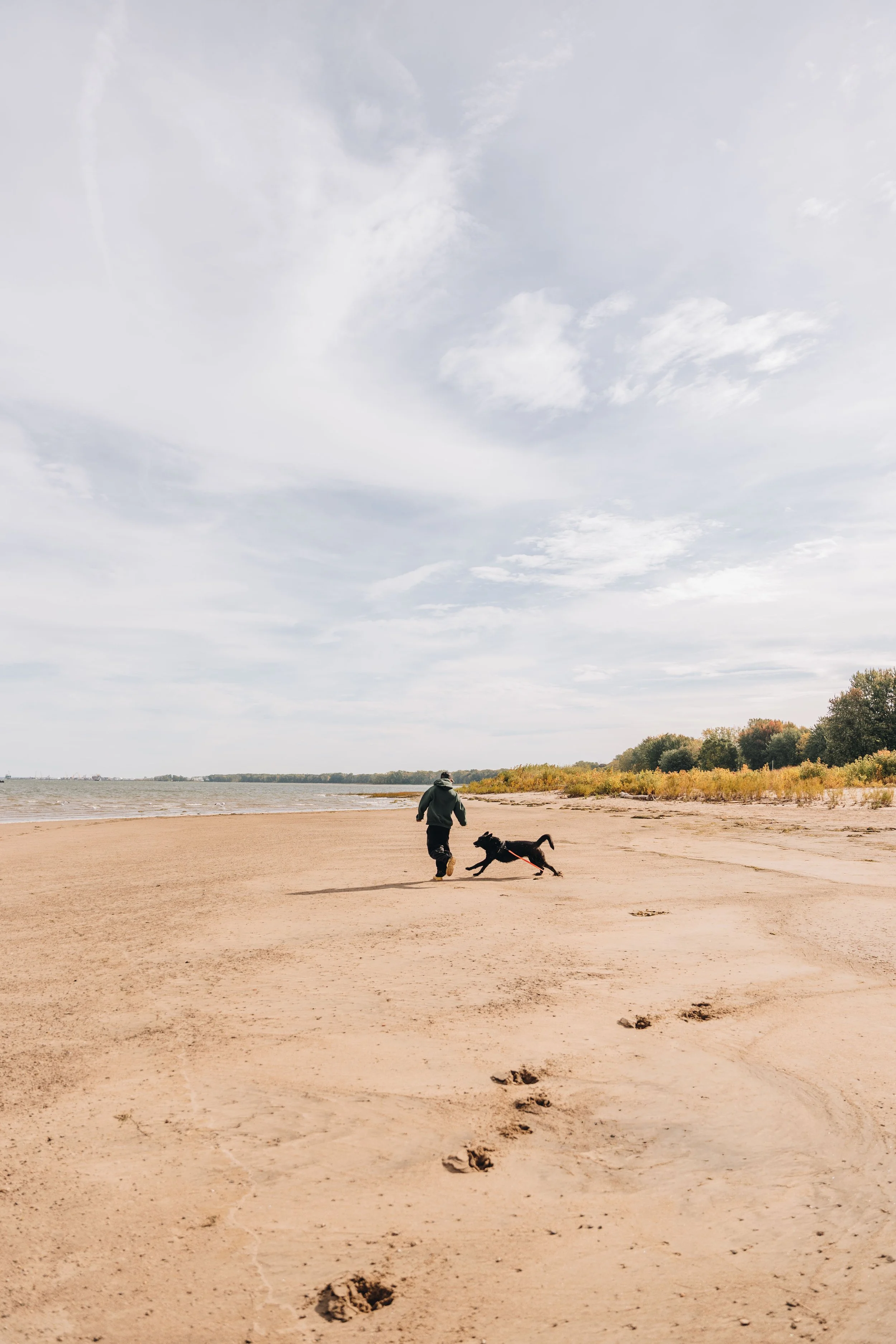 La Petite Floride chien onvasepromener 22.jpg