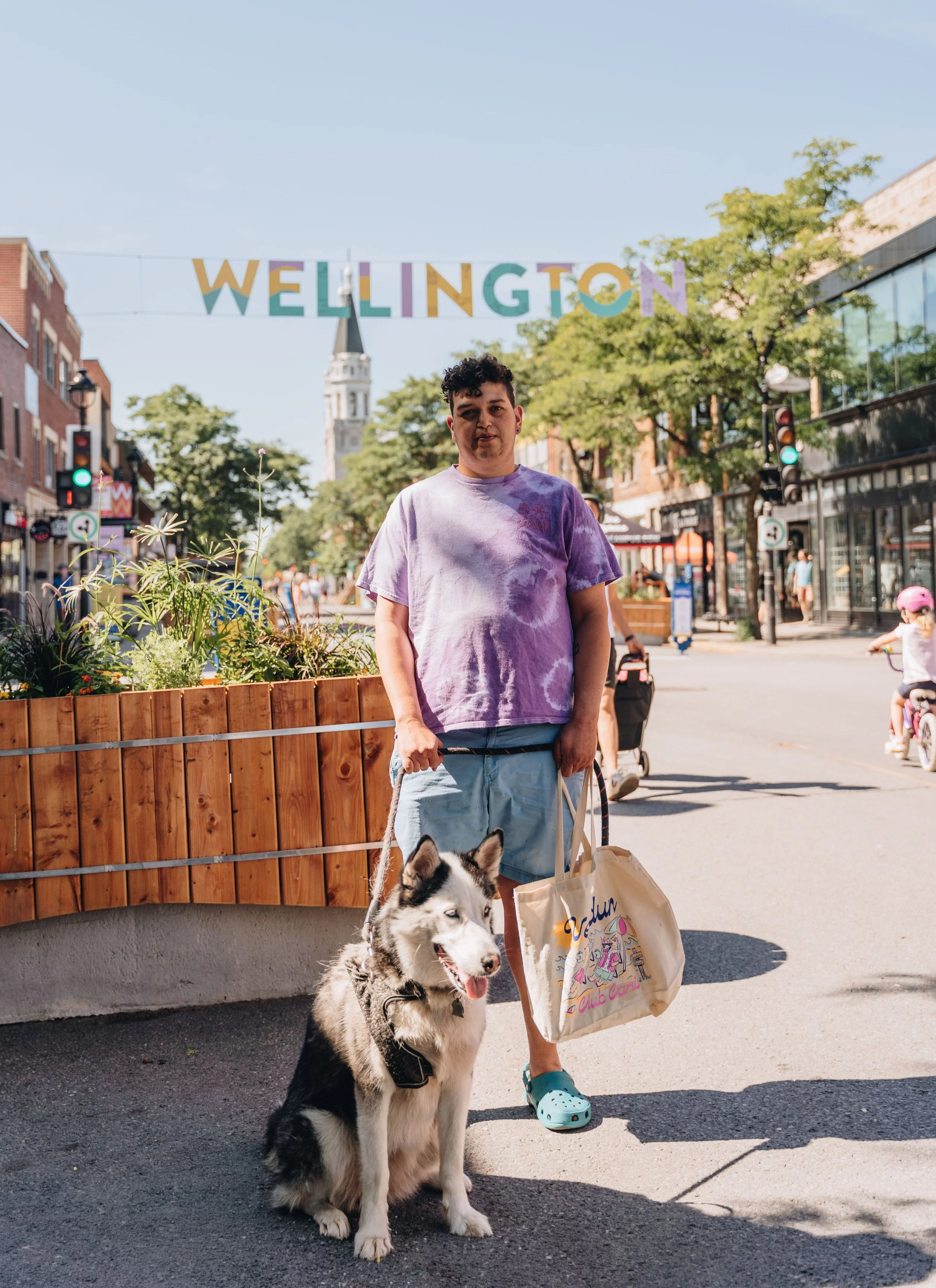 Promenade Wellington chien onvasepromener10.jpg