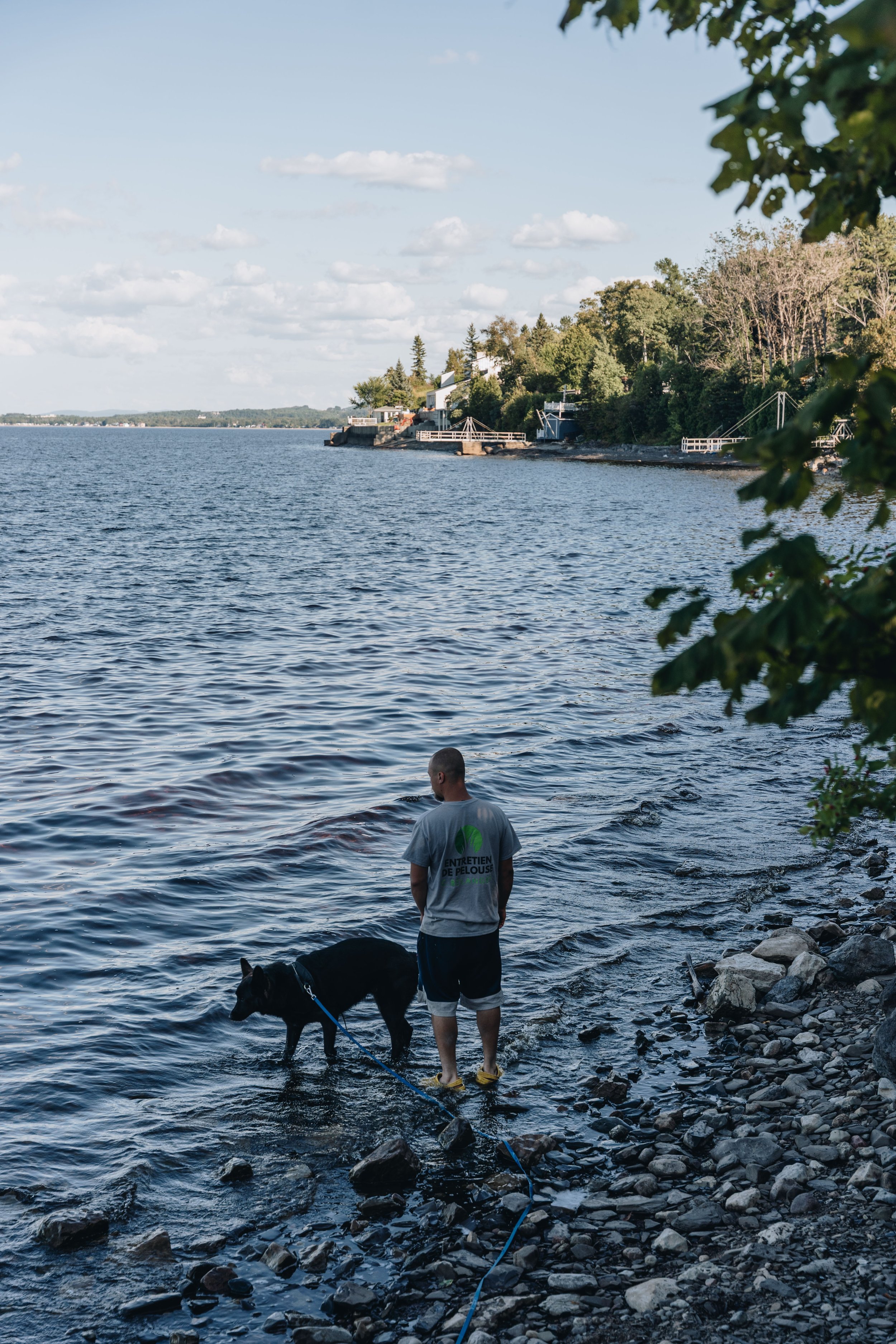 Parc du rocher percé de chambord chien onvasepromener 3.jpg