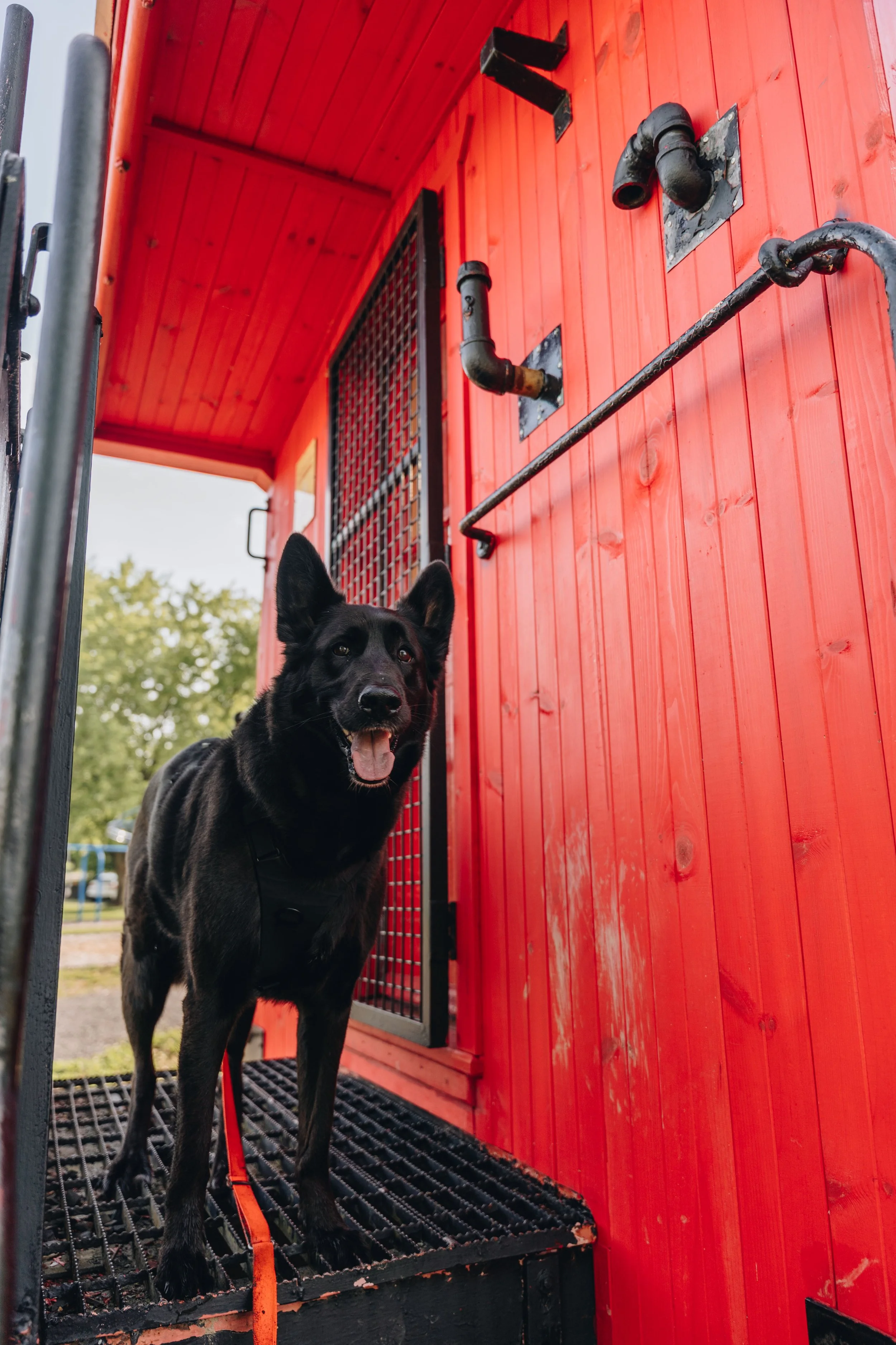 Parc de la Caboose chien onvasepromener 5.jpg