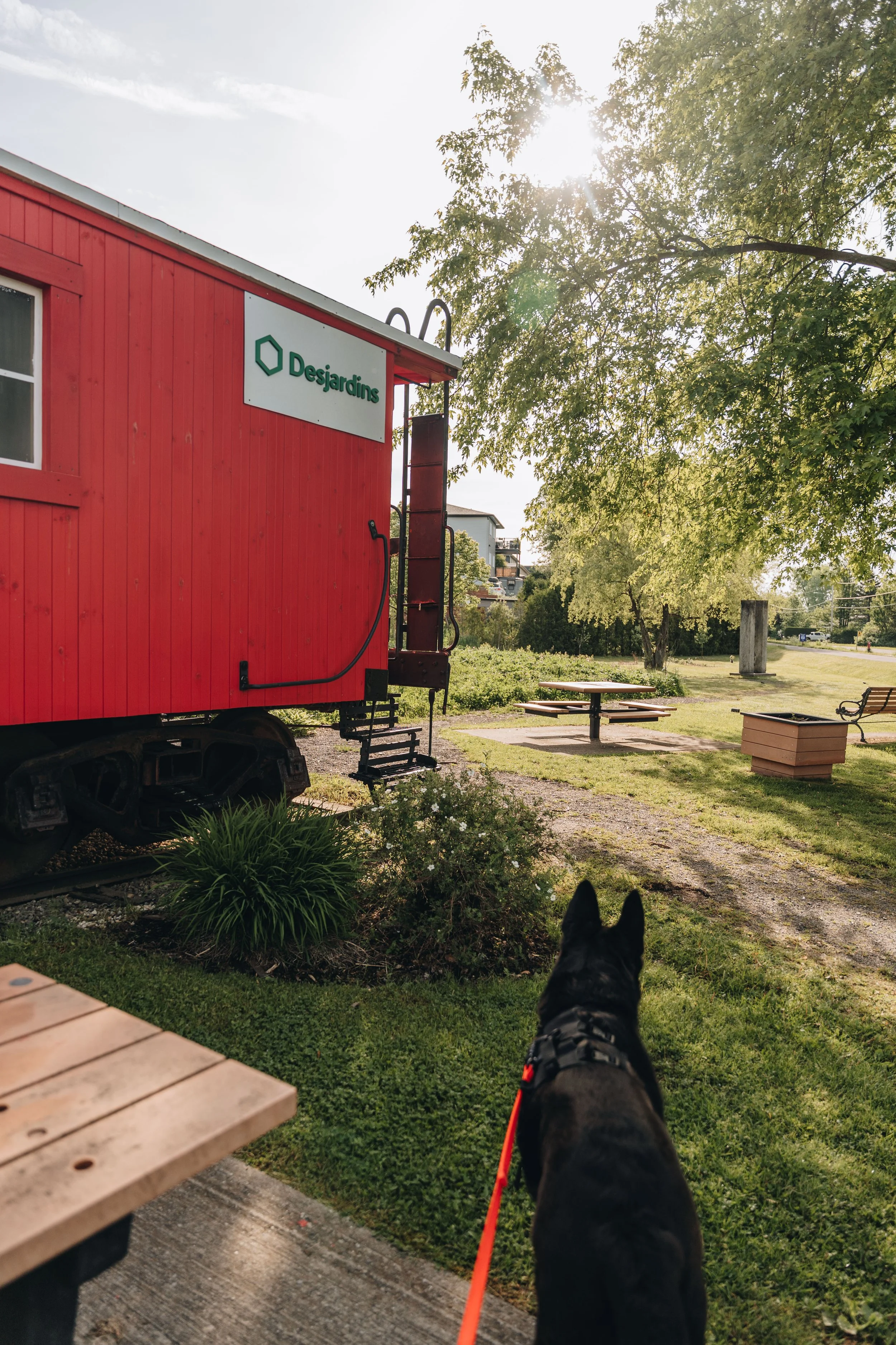 Parc de la Caboose chien onvasepromener 7.jpg