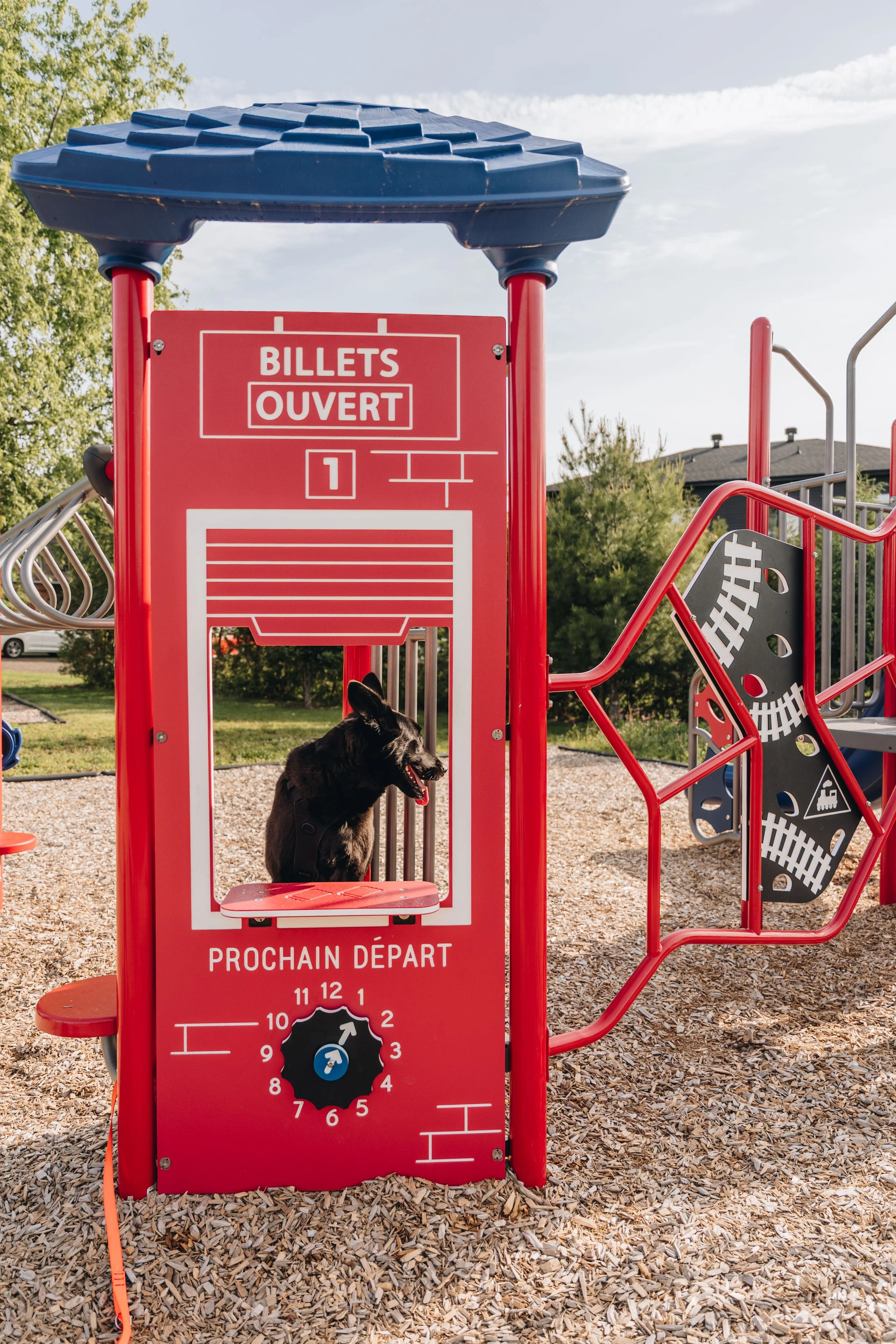 Parc de la Caboose chien onvasepromener 9.jpg