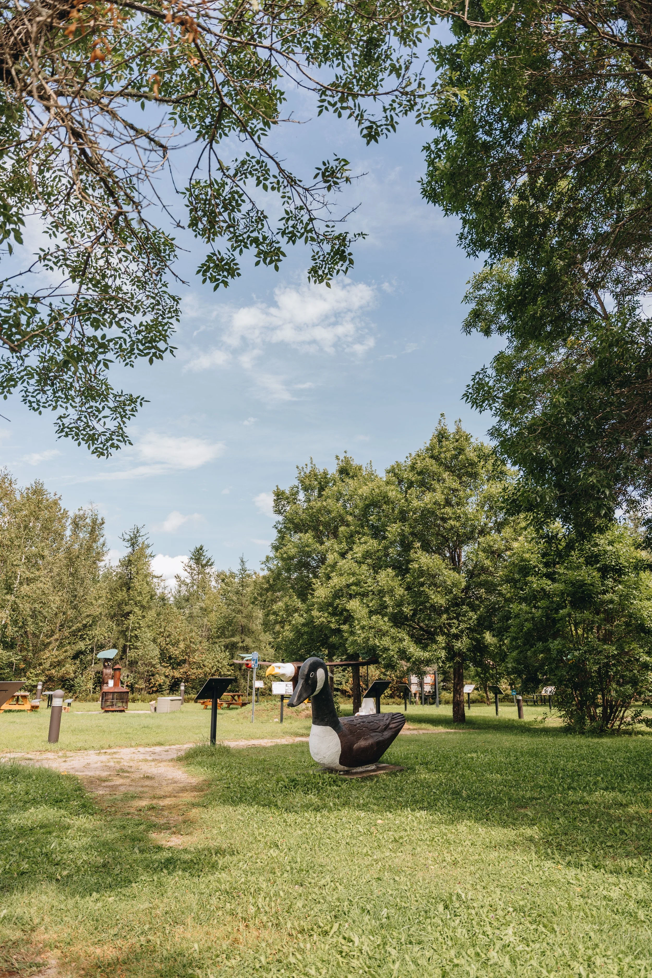 Parc Ducharme onvasepromener 1.jpg