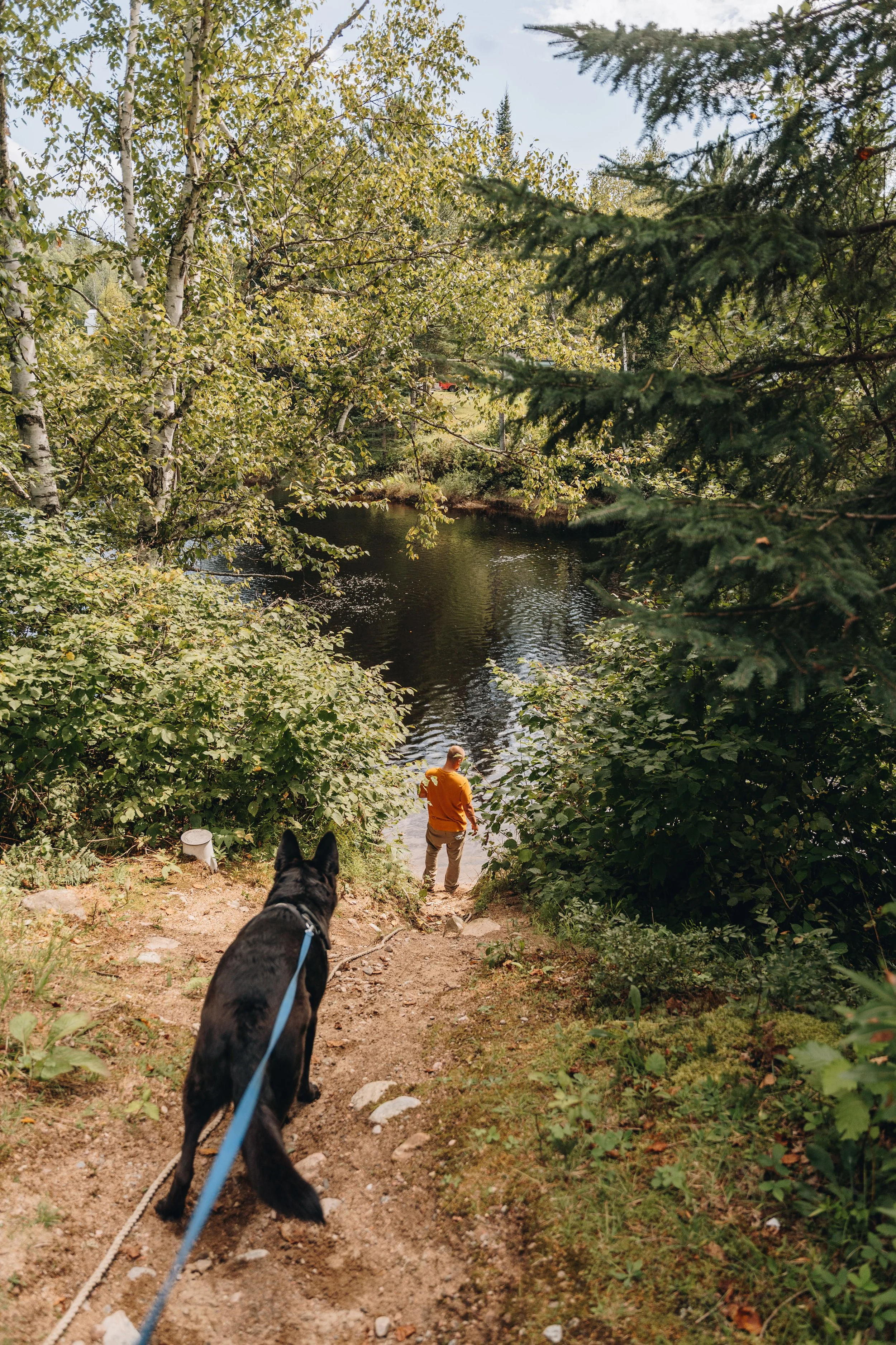 Parc Ducharme onvasepromener 6.jpg