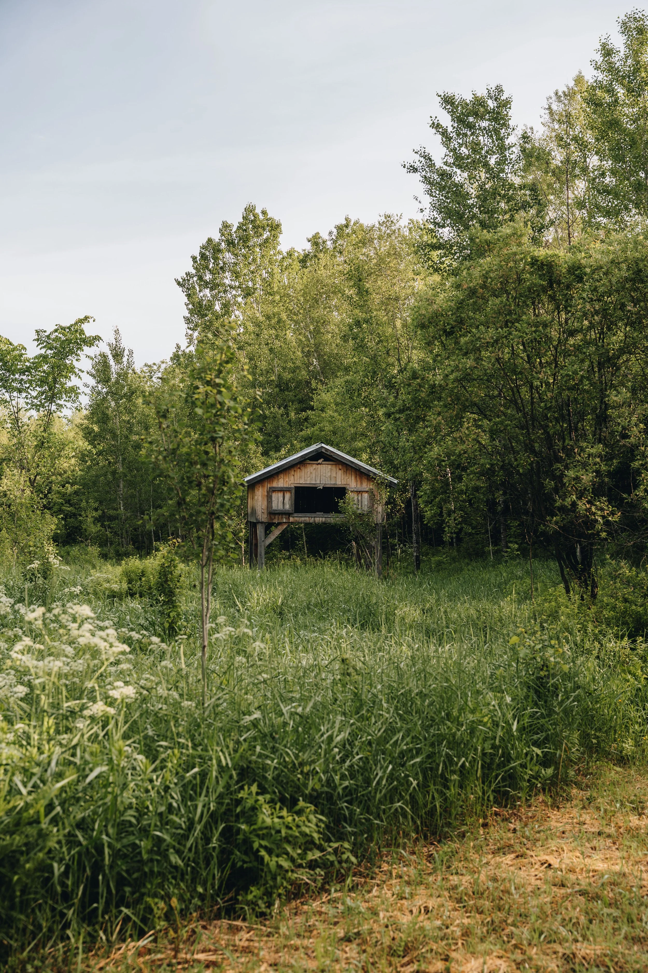 Réserve naturelle de Waterloo onvasepromener3.jpg
