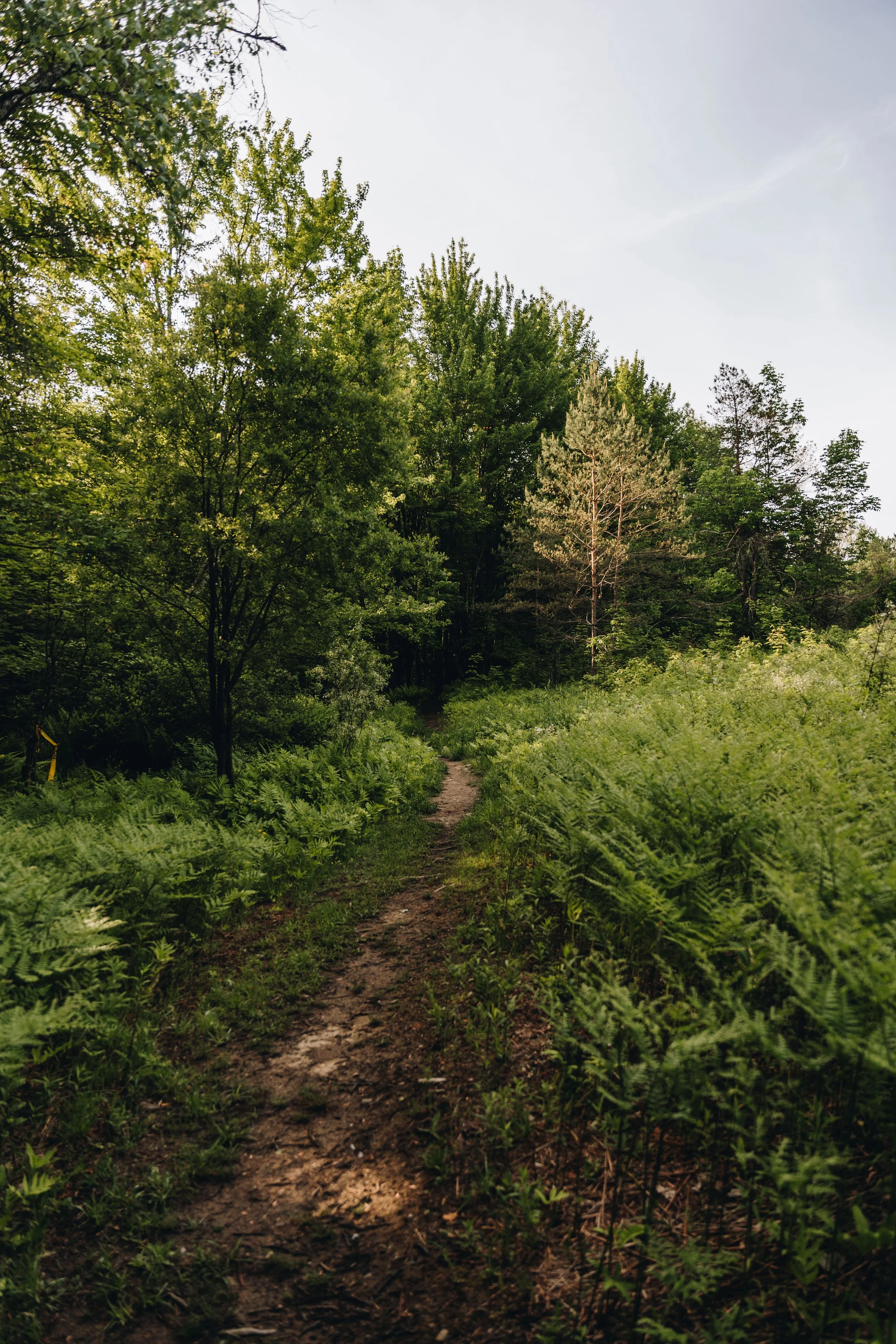 Réserve naturelle de Waterloo onvasepromener6.jpg