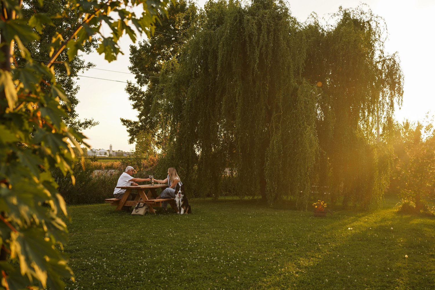 [Montérégie, Mont SaintHilaire] Vignoble La Grande Allée — On va se