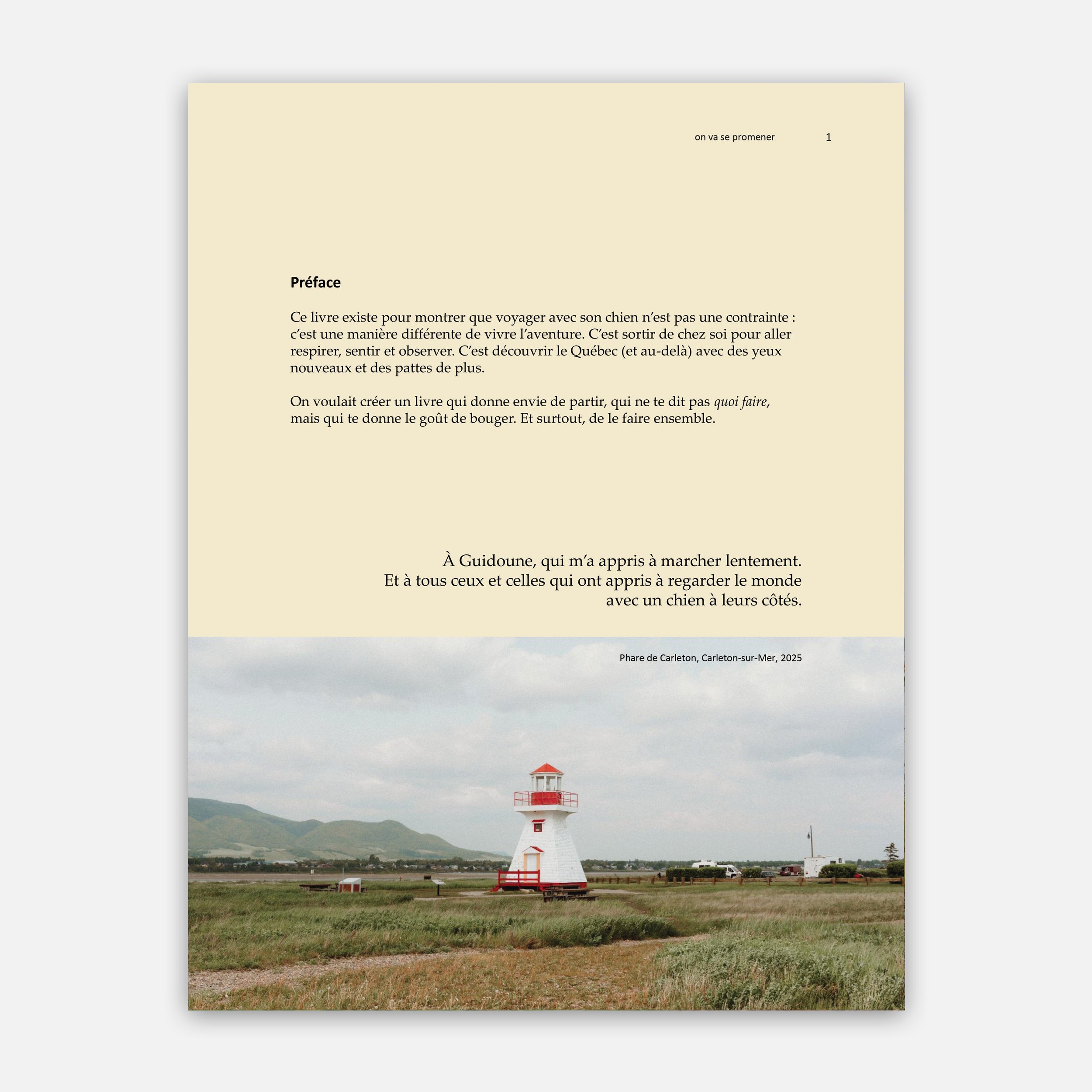 mockup site web1.jpg