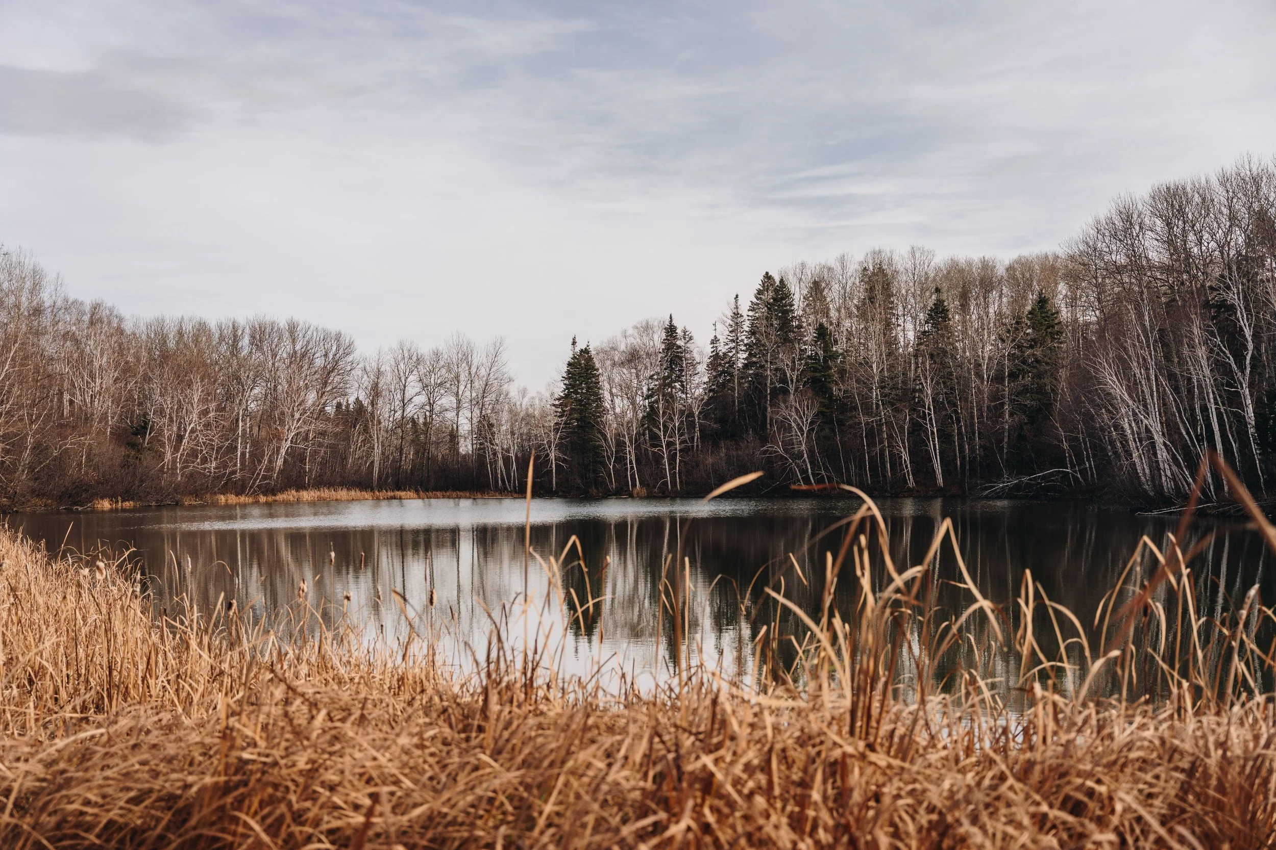 [Sag-Lac, LaBaie] Sentiers Lac Nérée et Poléon — On va se promener