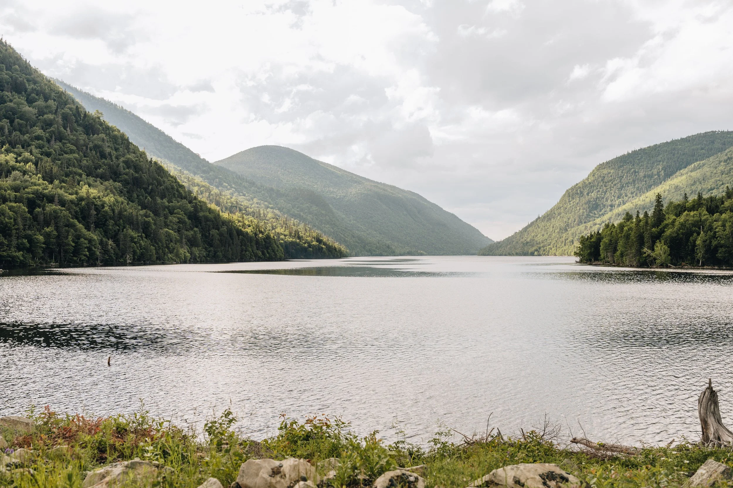 [BSL, Saint-René-de-Matane] Réserve faunique de Matane — On va se promener