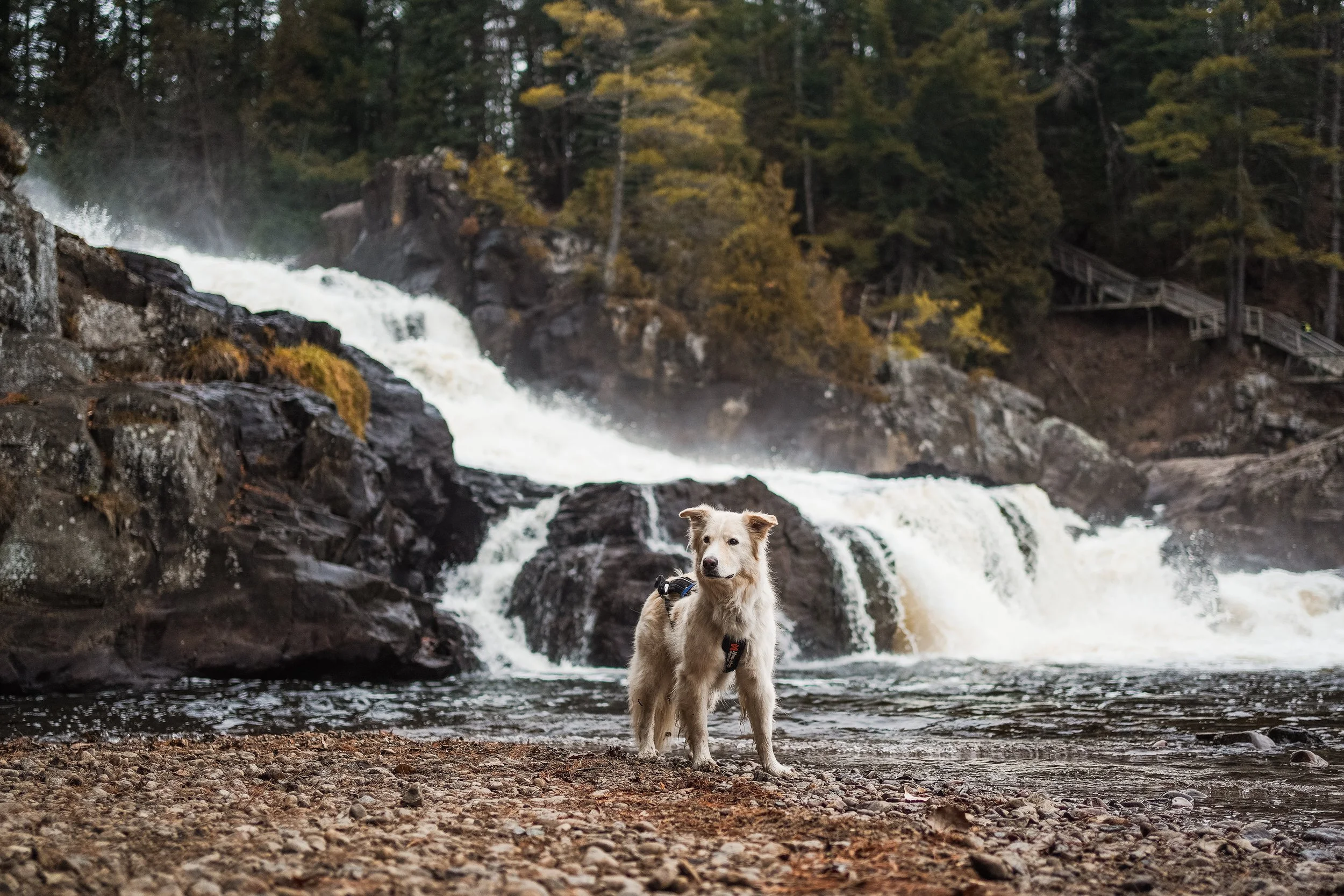 [Lanaudière, Saint-Jean-de-Matha] Chutes Monte-à-peine et des dalles ...