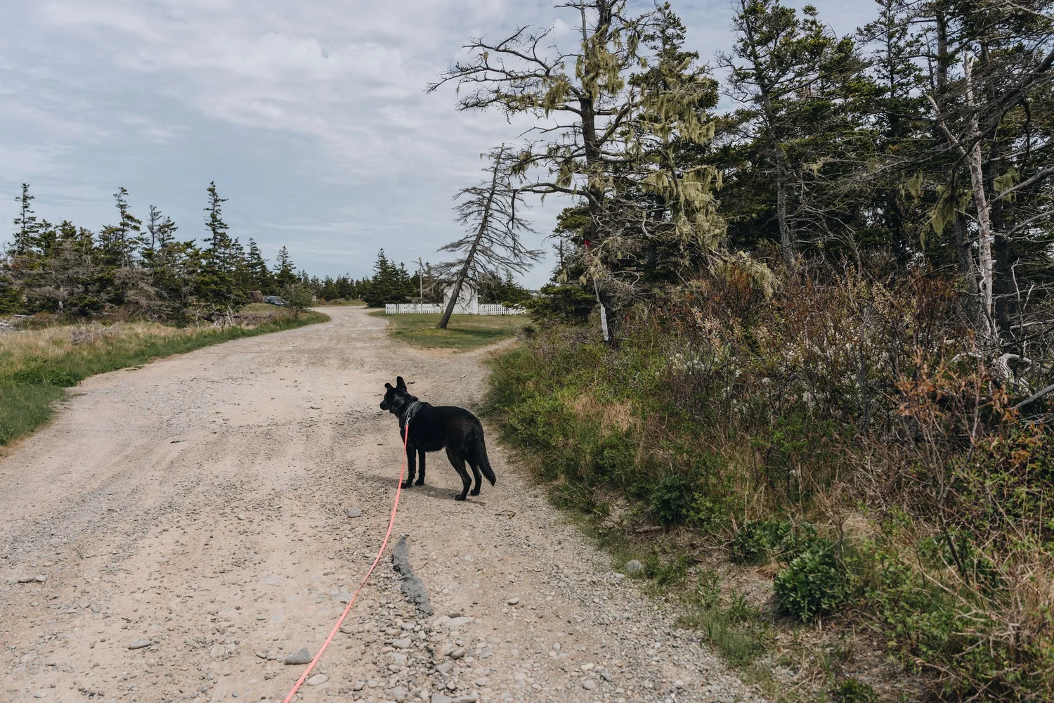 [N-É, Church Point] Pointe-à-Major site historique — On va se promener