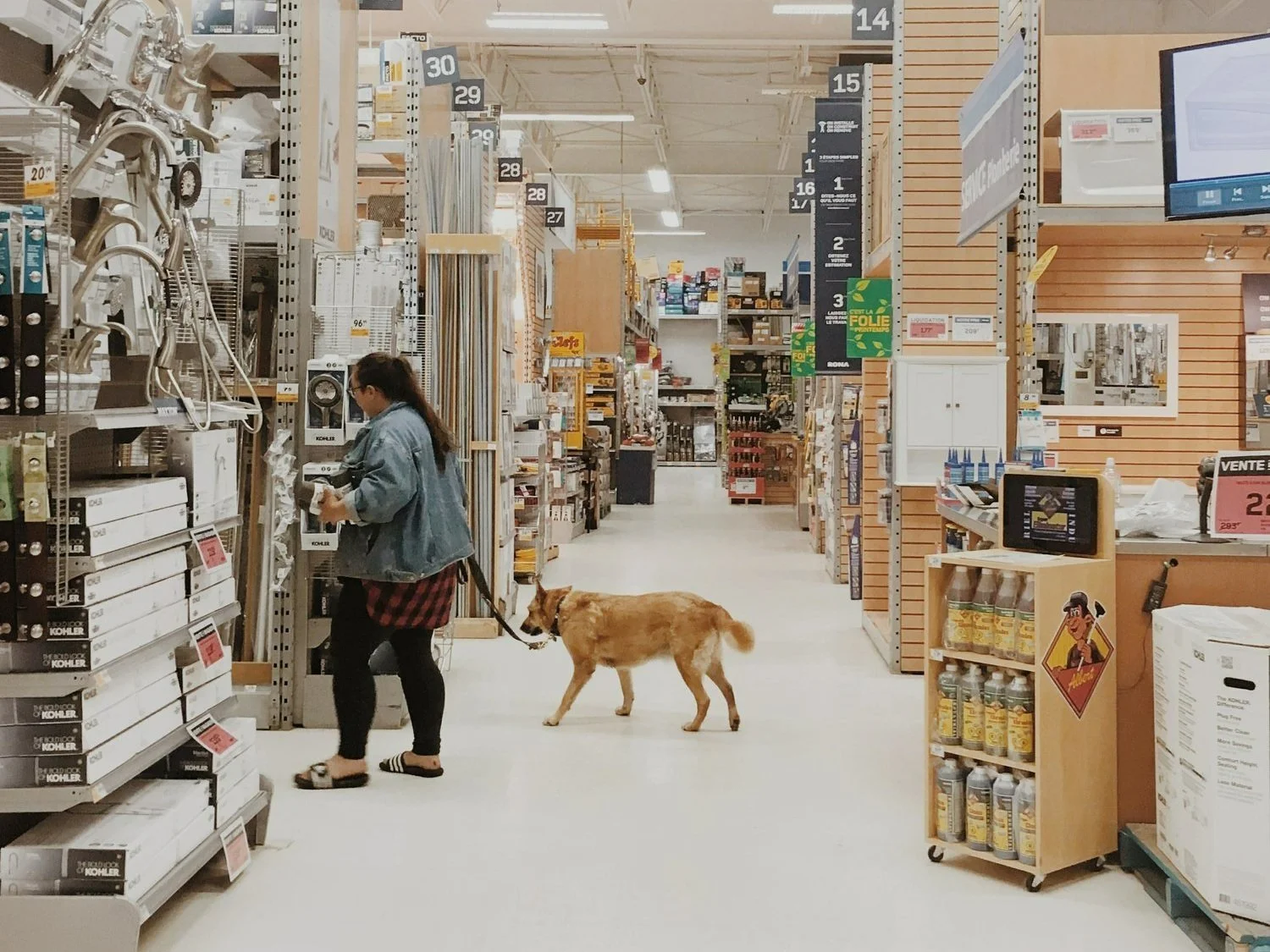 Les boutiques et magasins avec son chien — On va se promener
