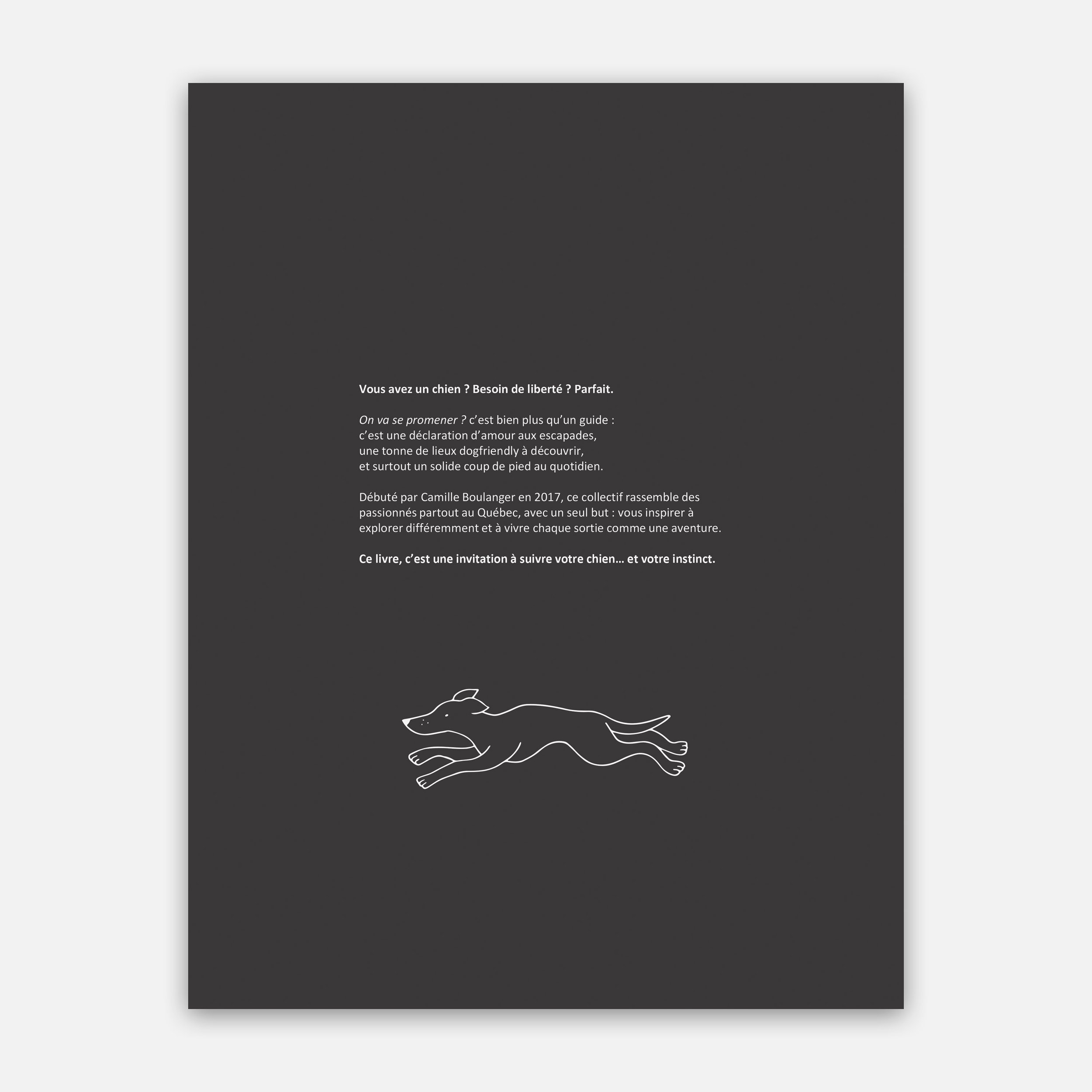 mockup site web3.jpg