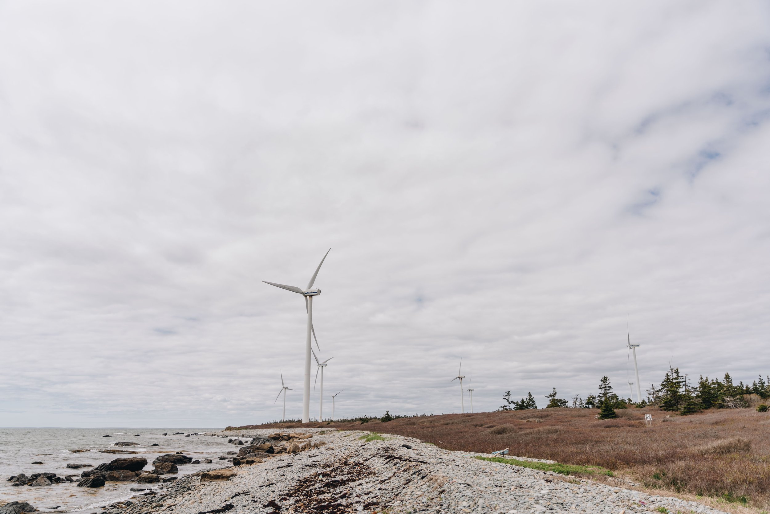 [NÉ, Pubnico] Pubnico Point Trail — On va se promener?