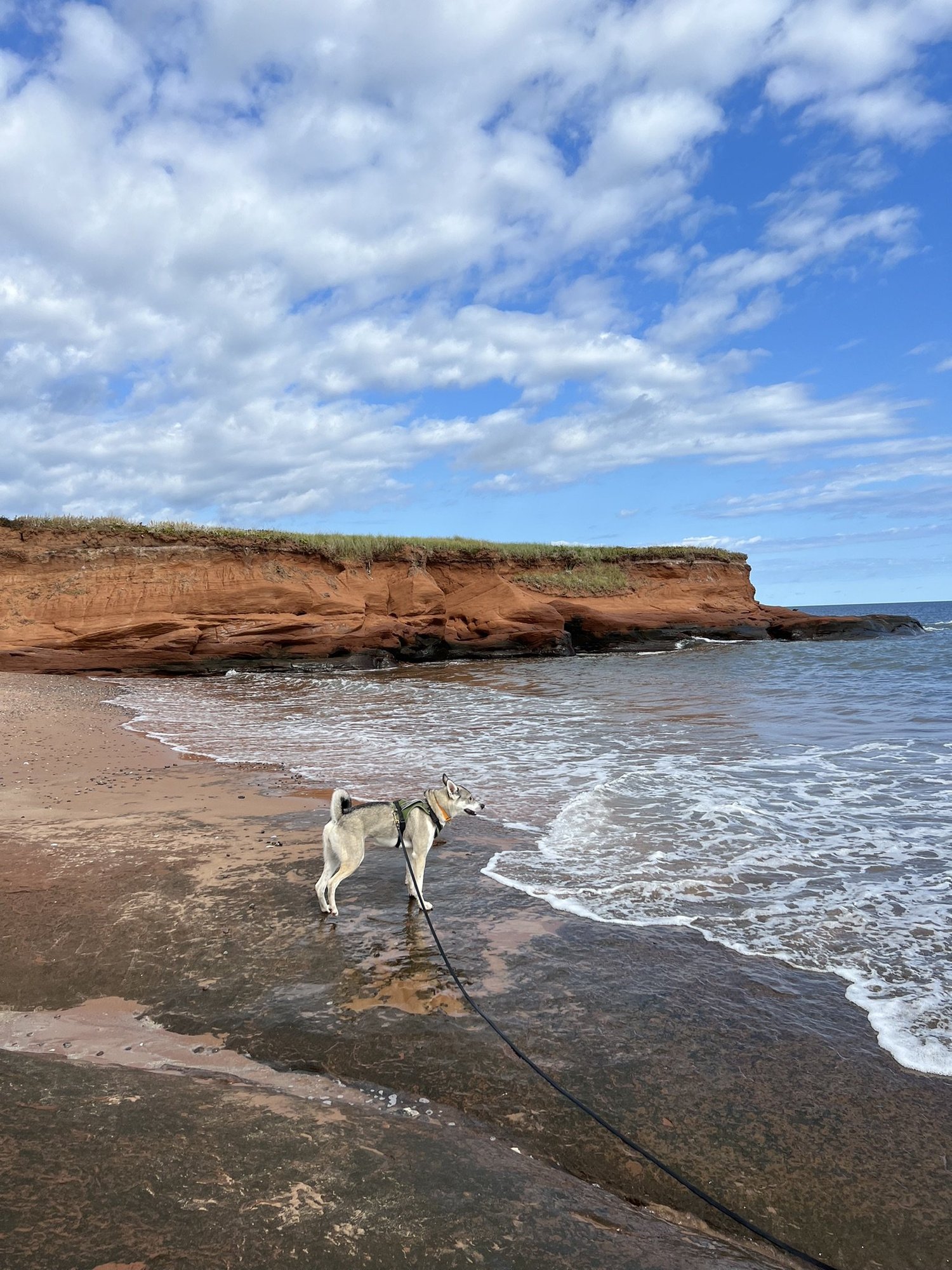 [ÎlesdelaMadeleine] Plage de l'AnseauxBaleiniers, plage de la Dune