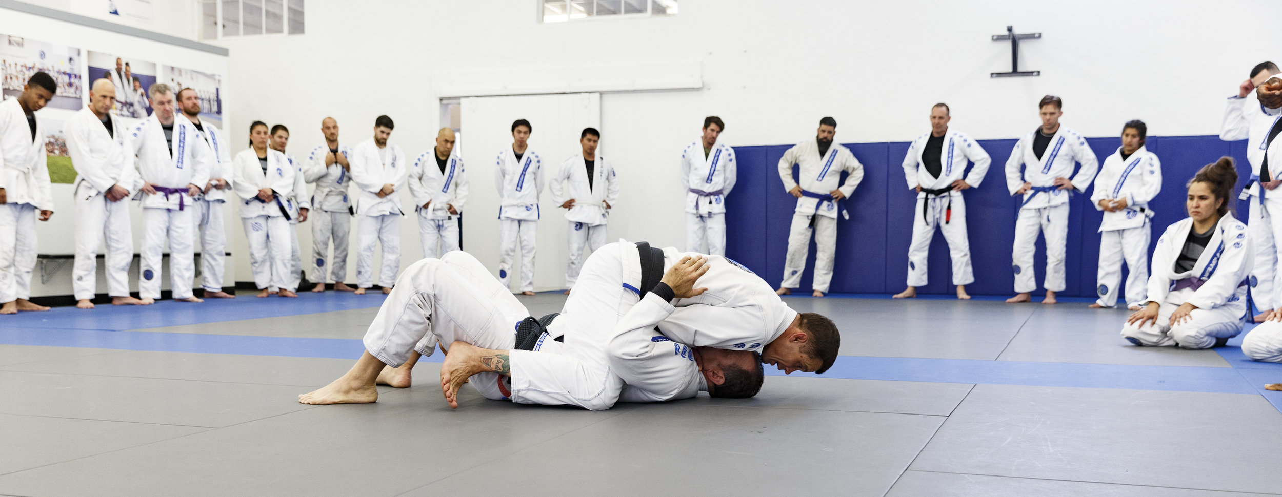 BJJ Main Banner.jpg