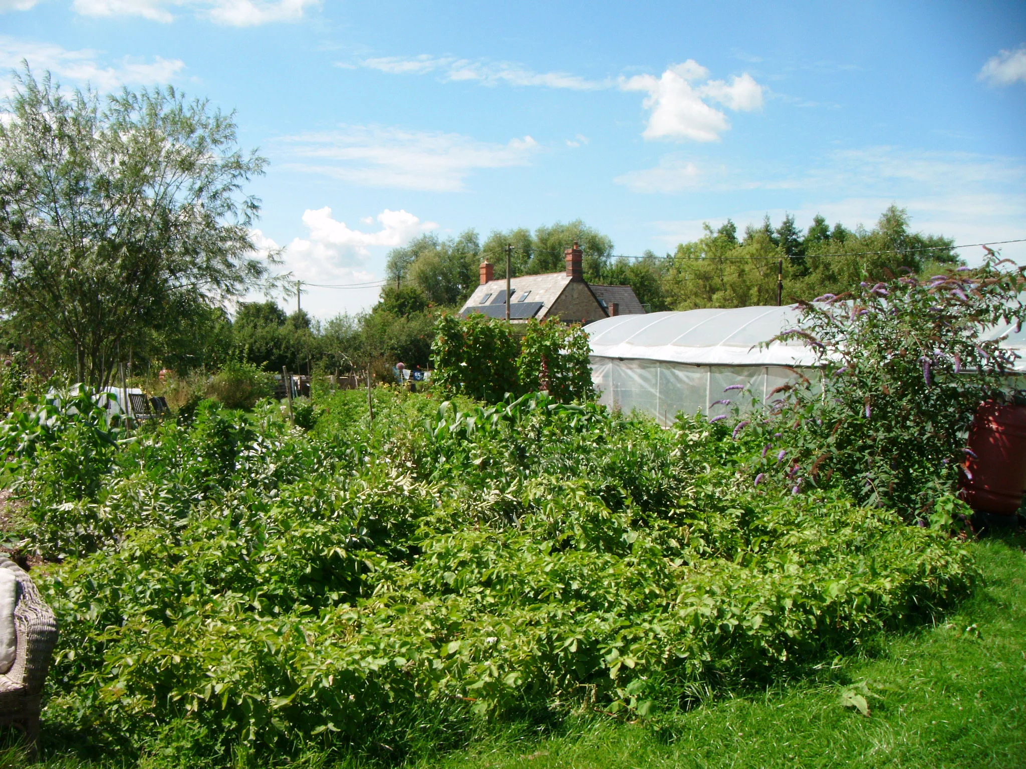 DSCF2283.JPG