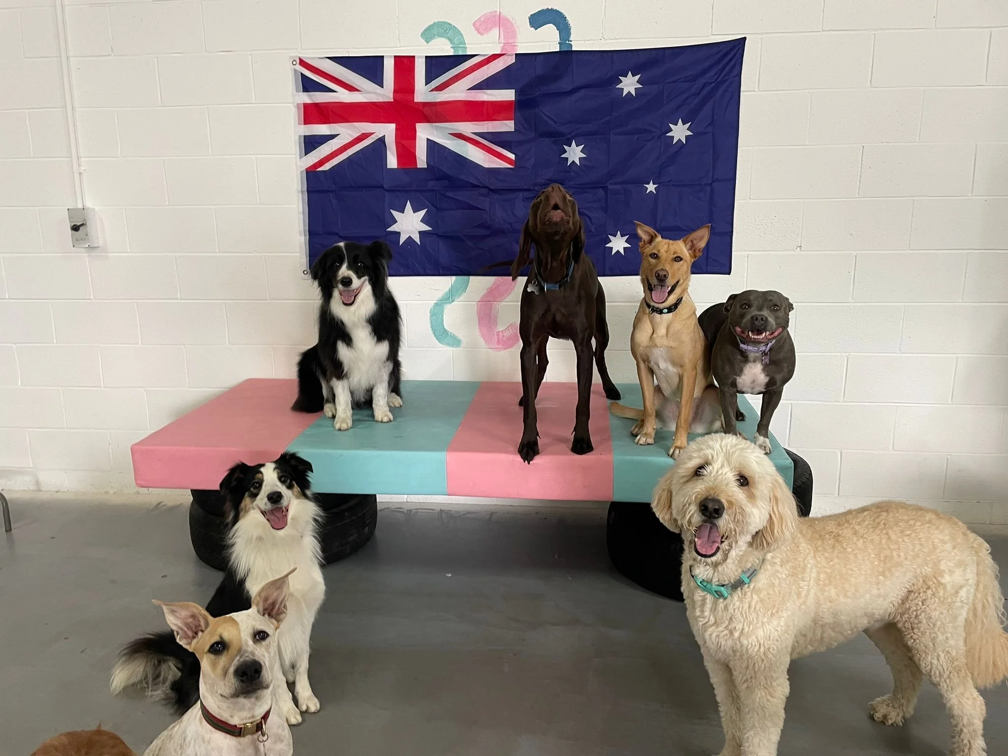 c73e4a7b-87c8-4e9d-8ac7-aaa94c5dffcd 2.JPG