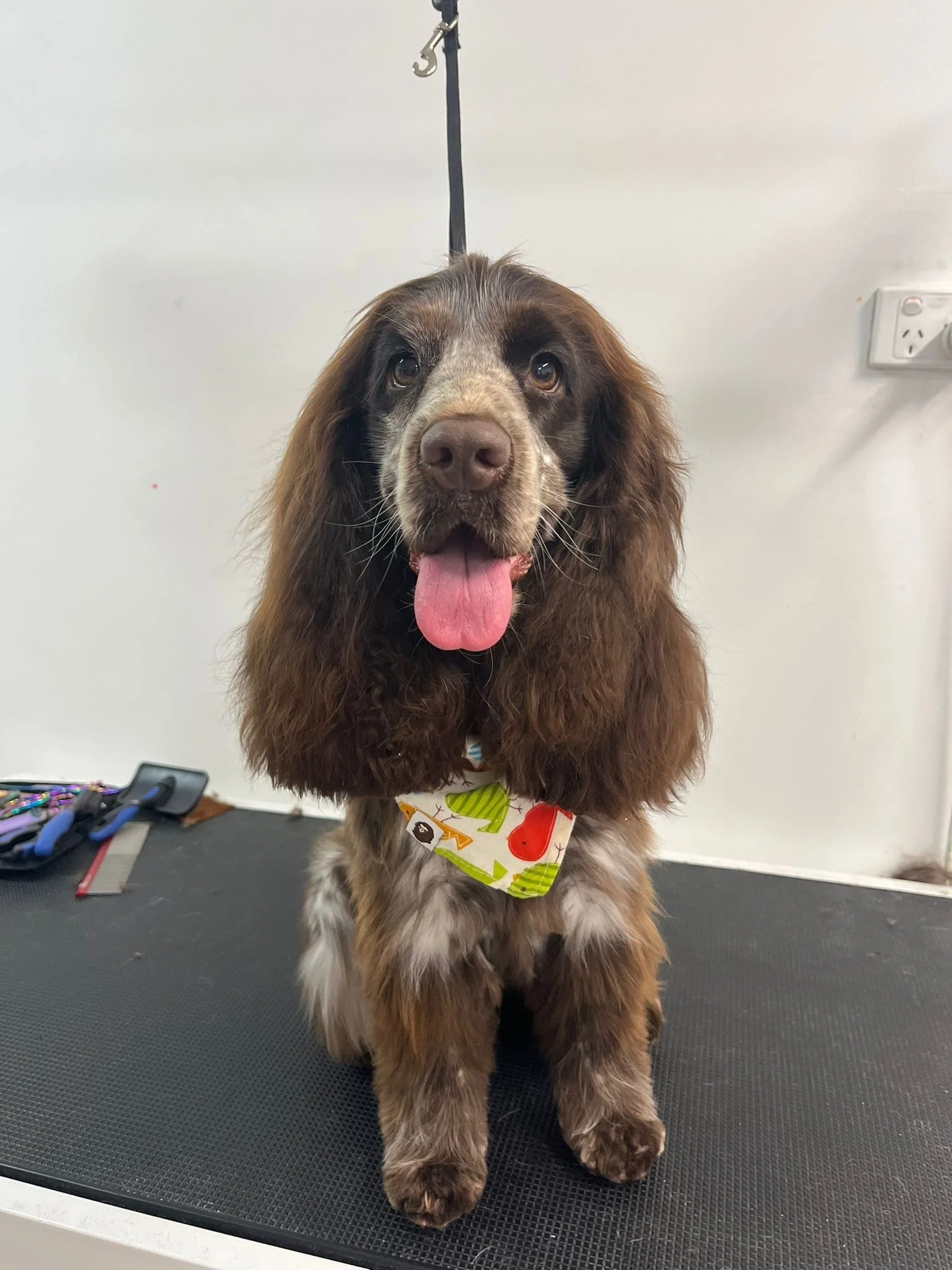 531a1f7c-1568-4c40-80b9-3d44806a5a96 2.JPG