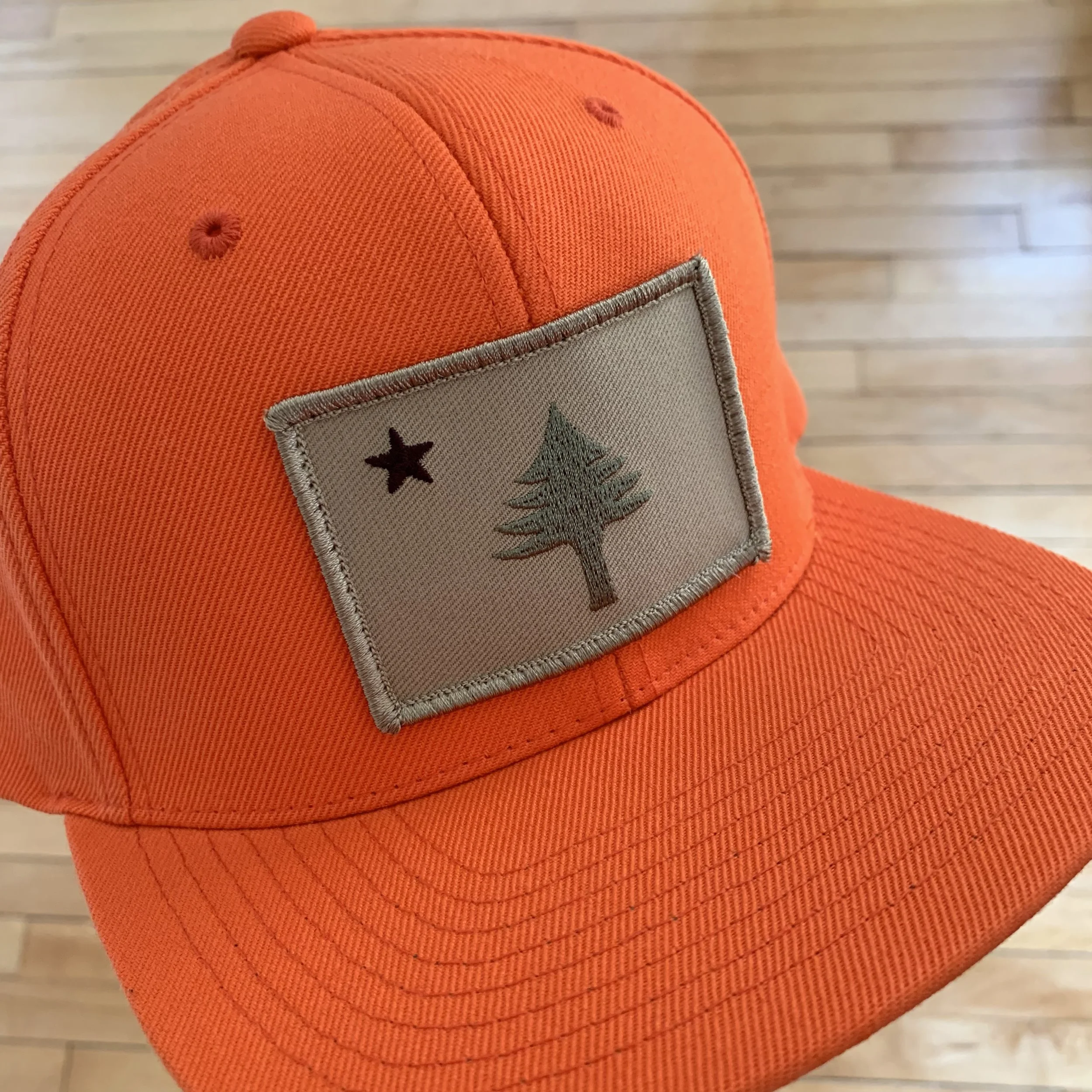 Original Maine Flag Flat Hat 