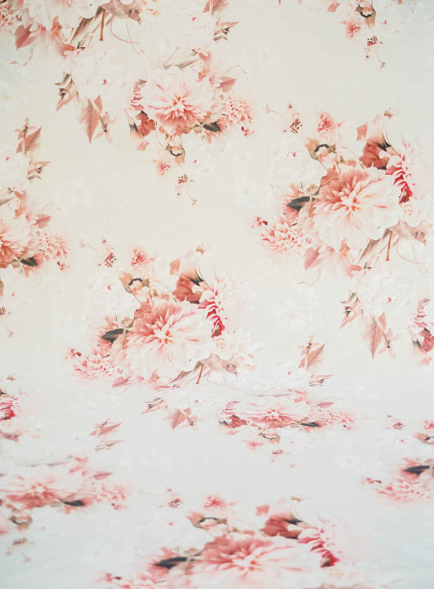 antoinette-photo-booth-backdrop-san-diego.jpg