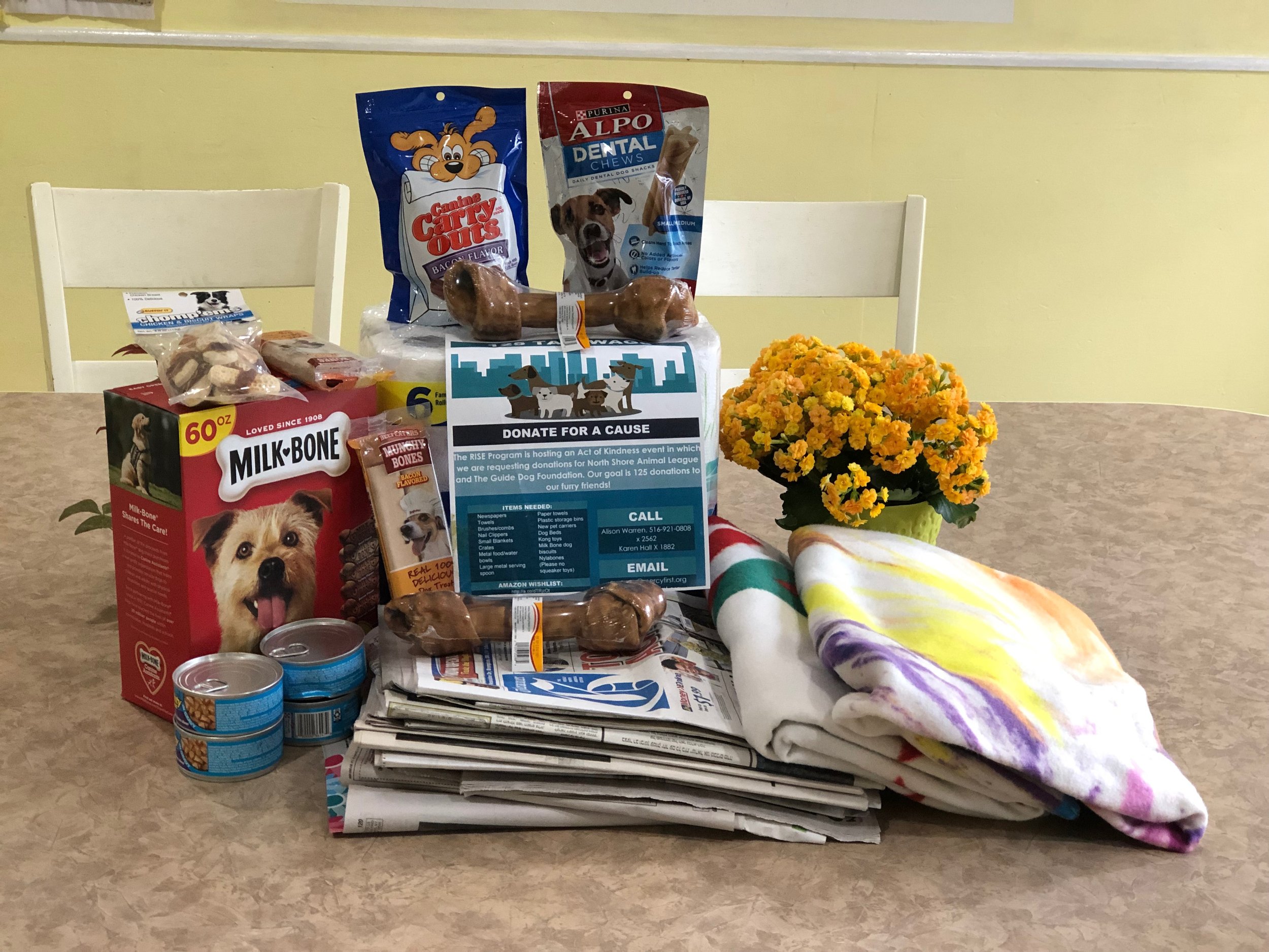 Merrick Group Home Staff Help the RISE Program in their efforts to support the North Shore Animal league and the Guide Dog Foundation with donations.