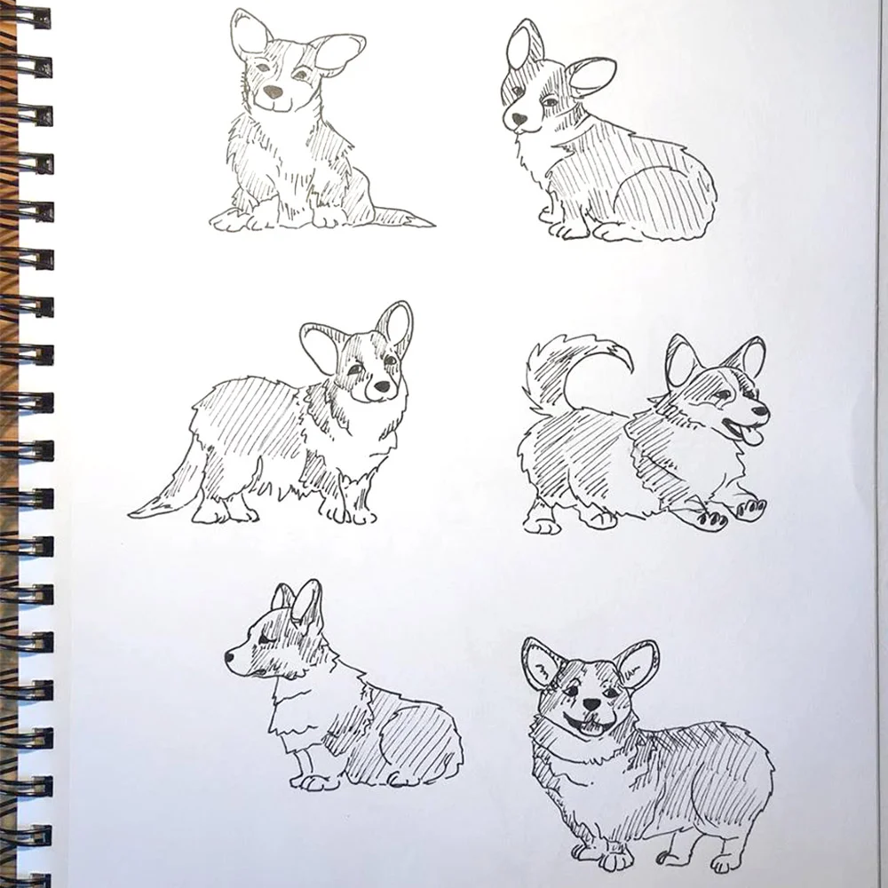 happyCorgis.1.jpg