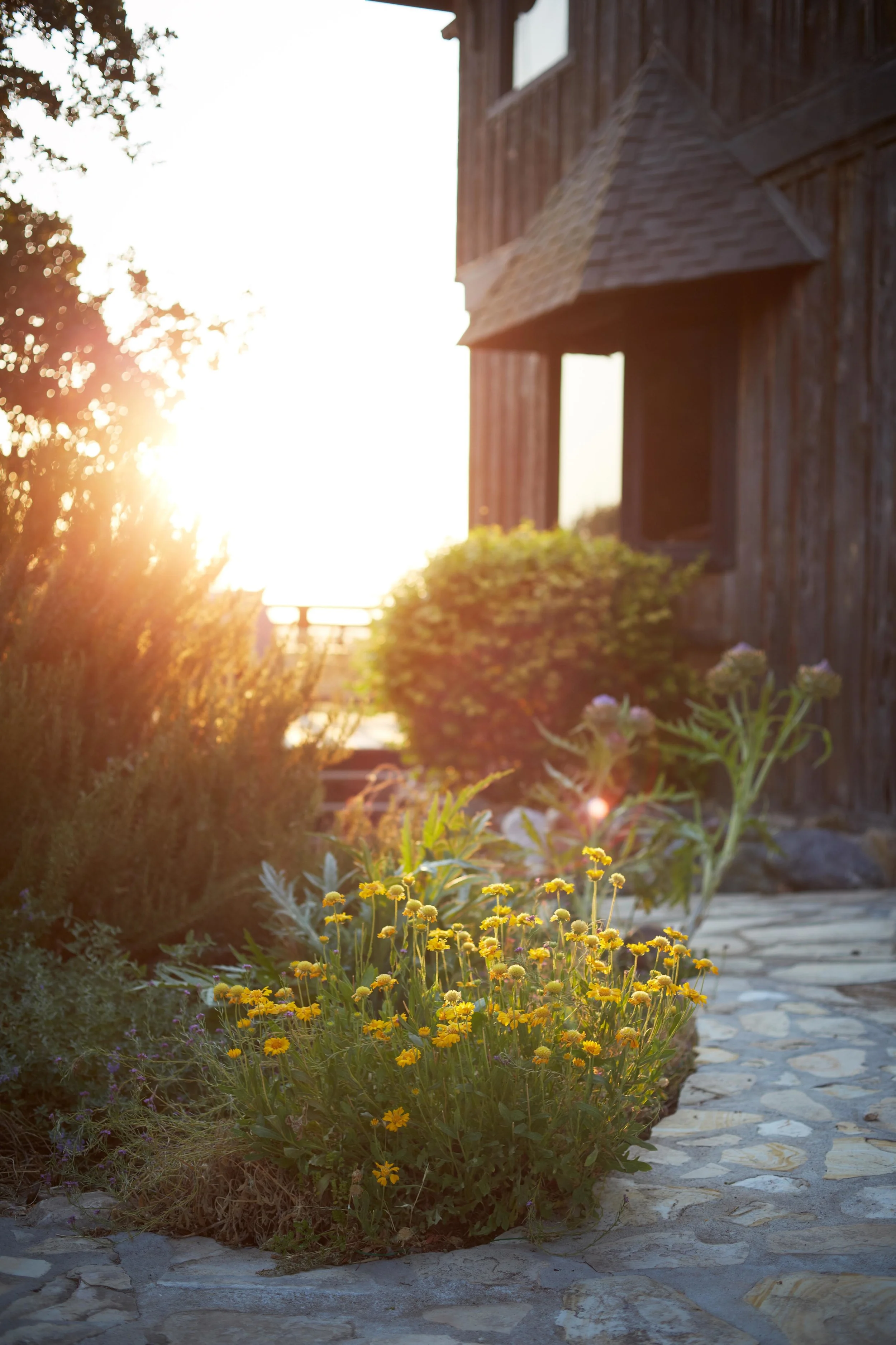 InnParadiso_2013_0701-184.jpg