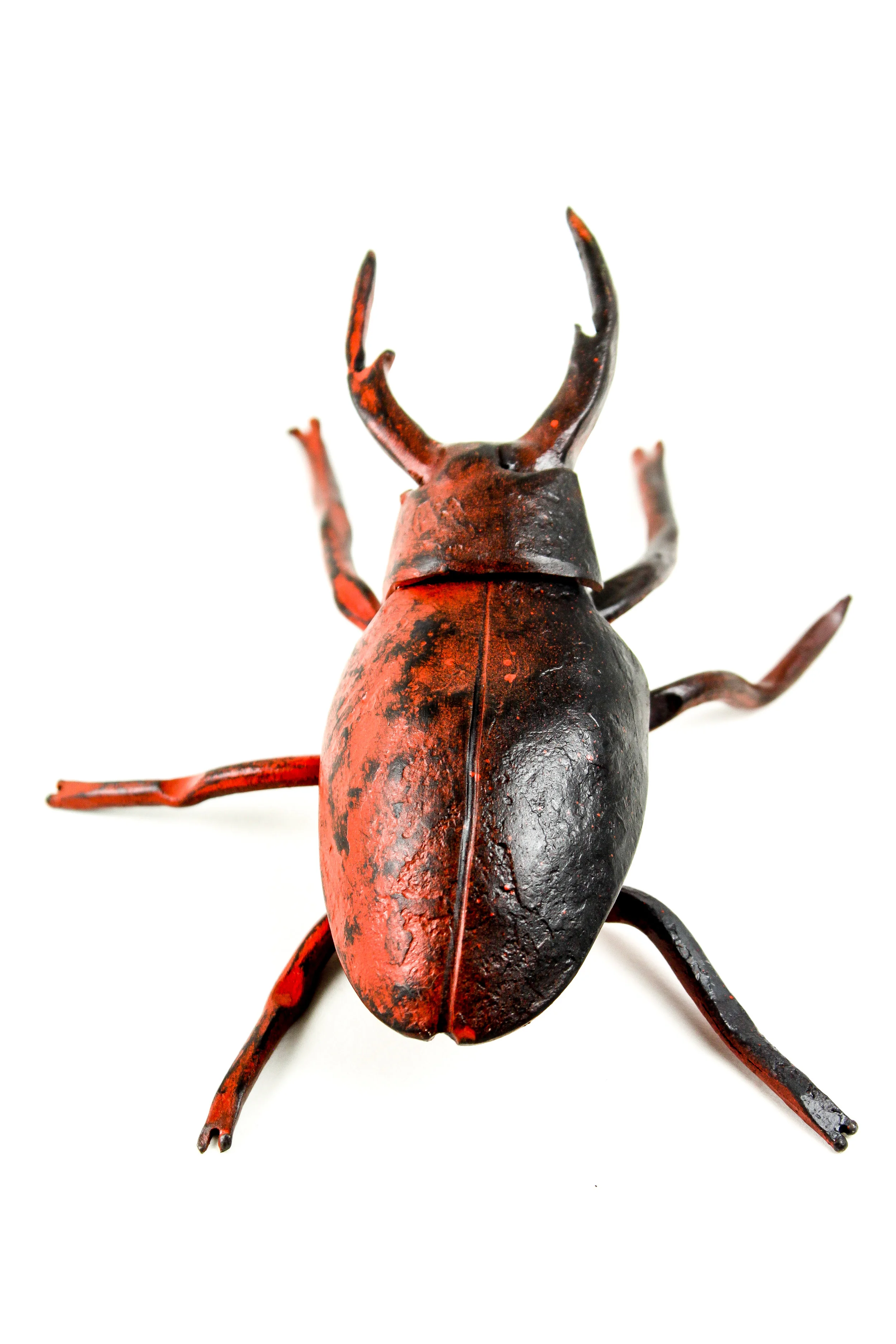 Stag beetle 