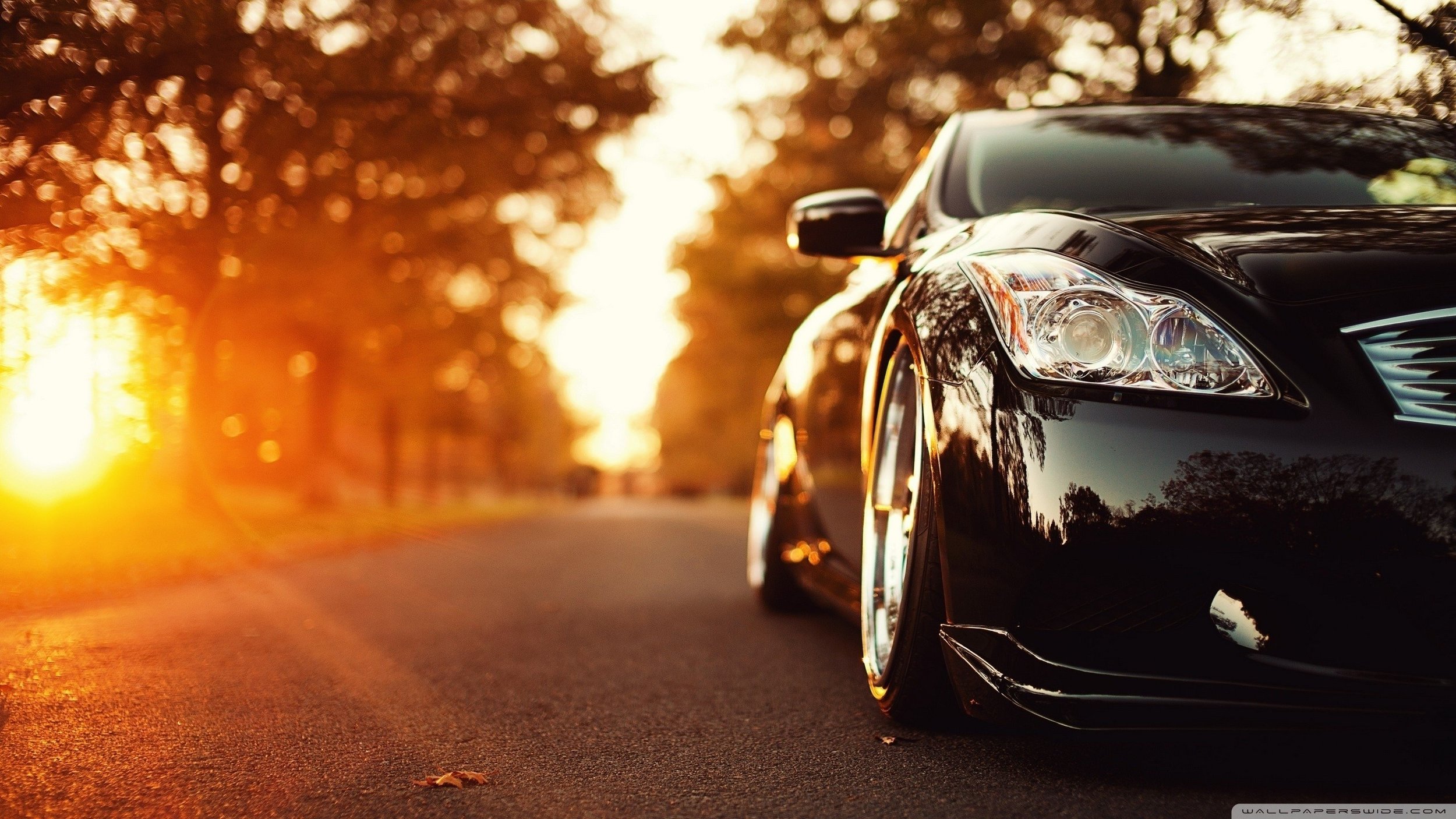 car-1520776994715-1229.jpg