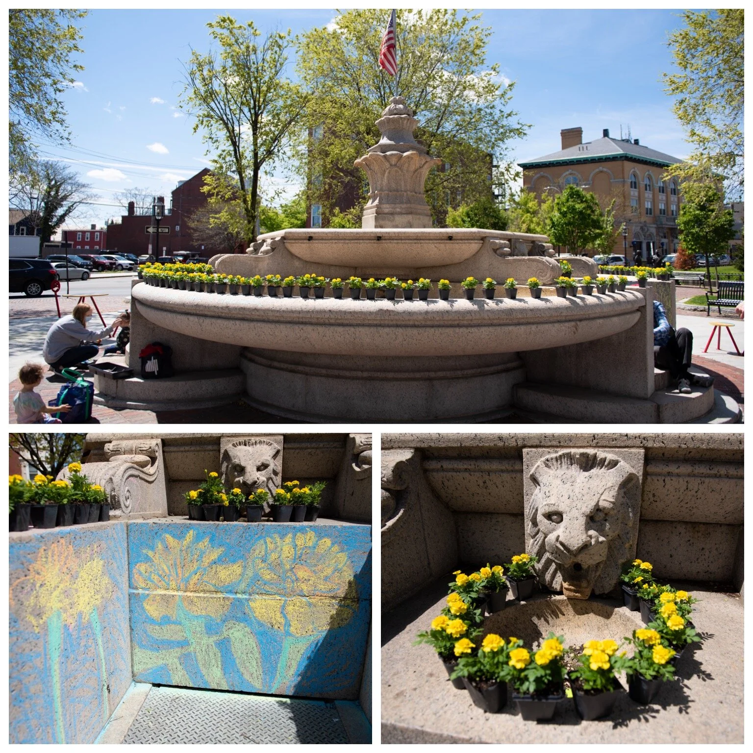 Top to bottom: Bright yellow marigolds are surrounding the Chelsea Square fountain, as a celebration for Mother’s Day. Bottom Left: Artist Amber Torres displays a beautiful chalk piece featuring marigolds. Photos: Matt Frank