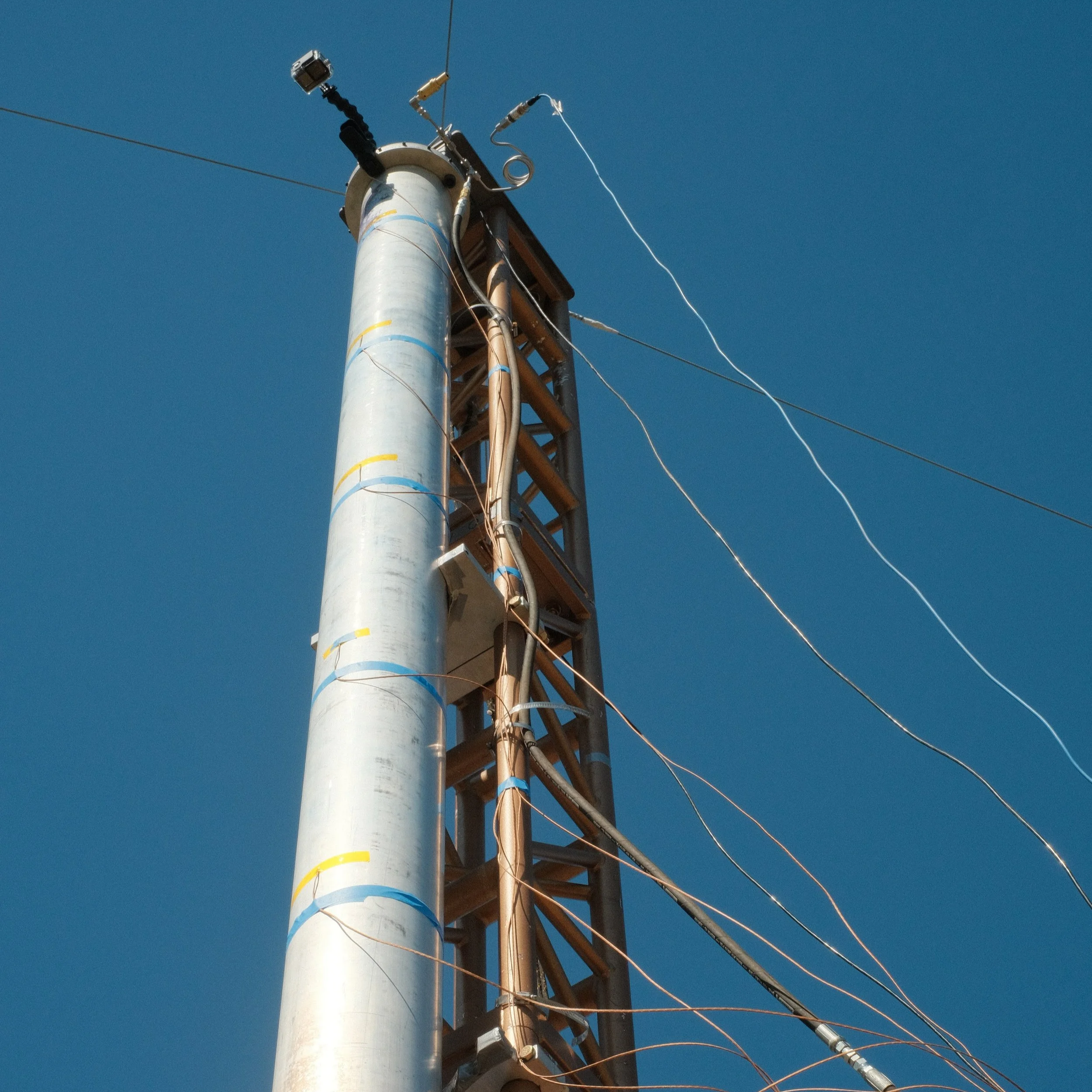 XT308164.JPG