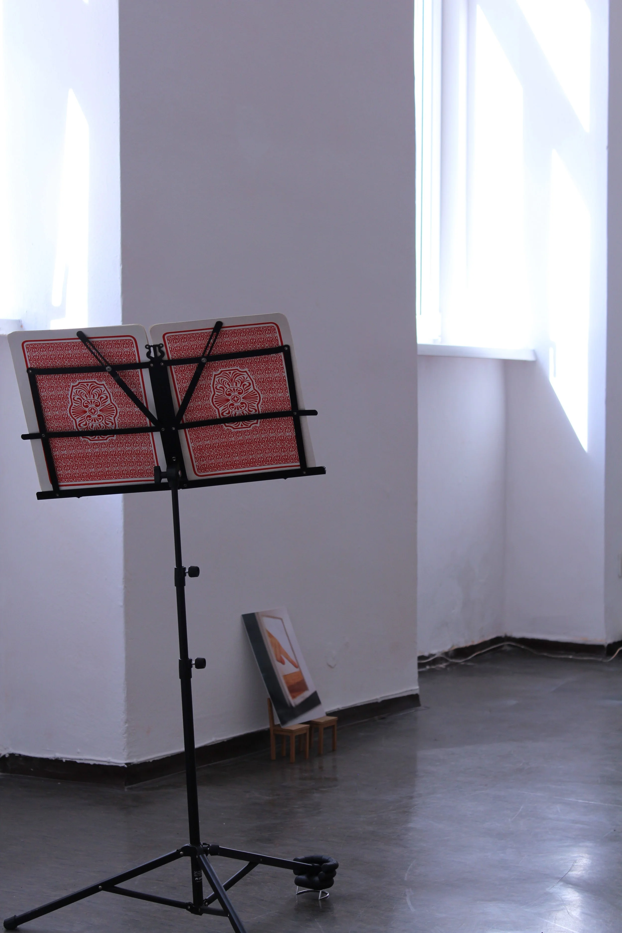 Nicholas Hoffman | Lukas Thaler