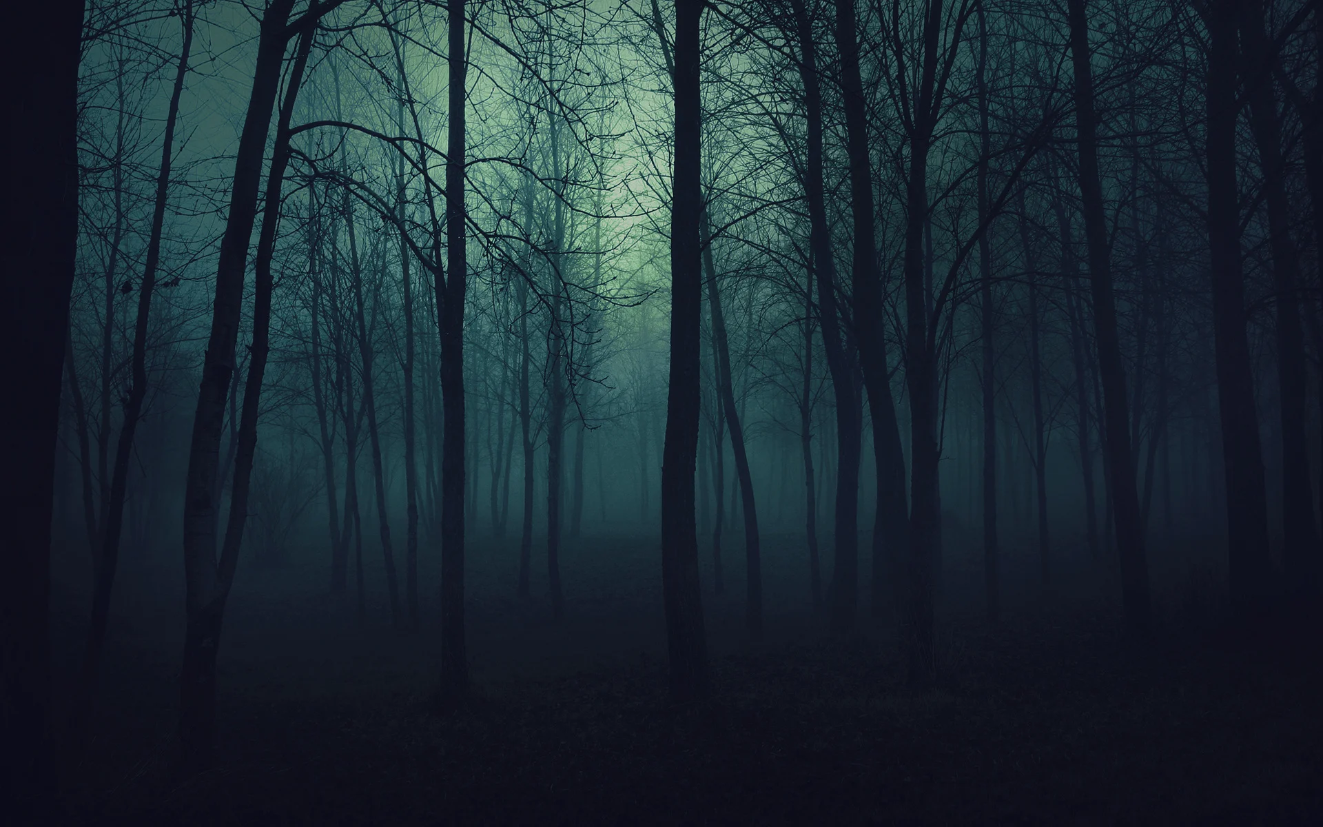 Dark-Woods-Background.jpg