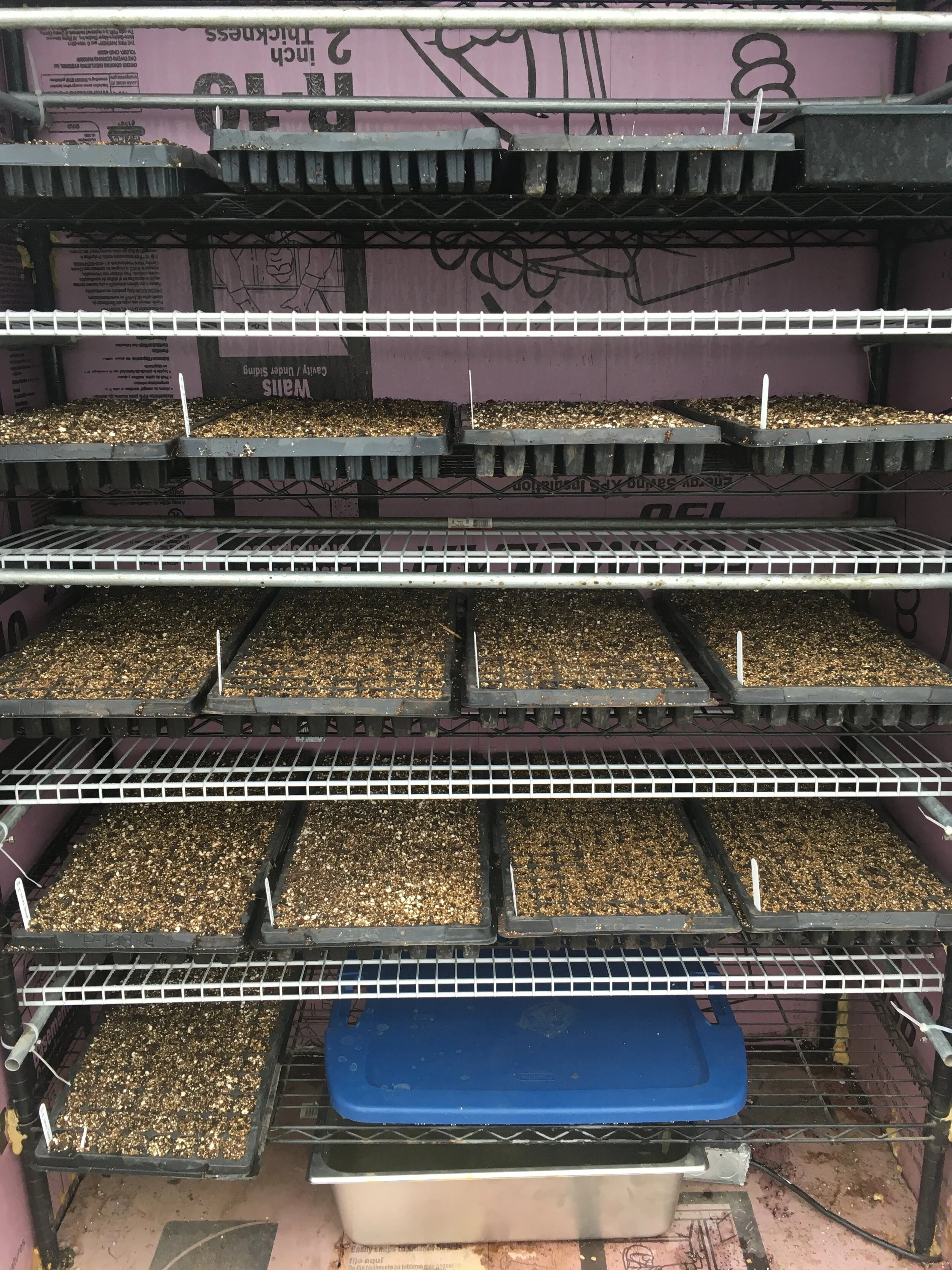 gladiator 30 inch shelf on News Letters Village Farmstead