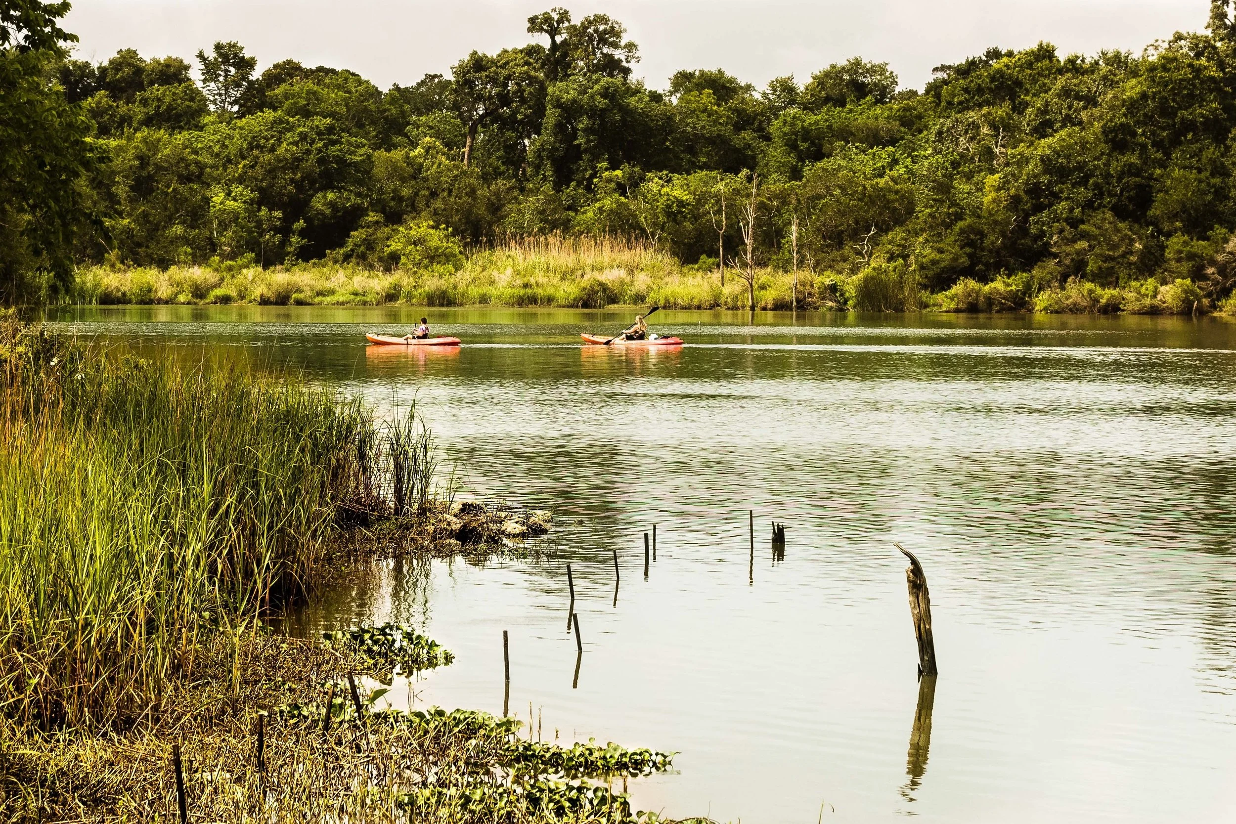 Clear Lake 2.jpg