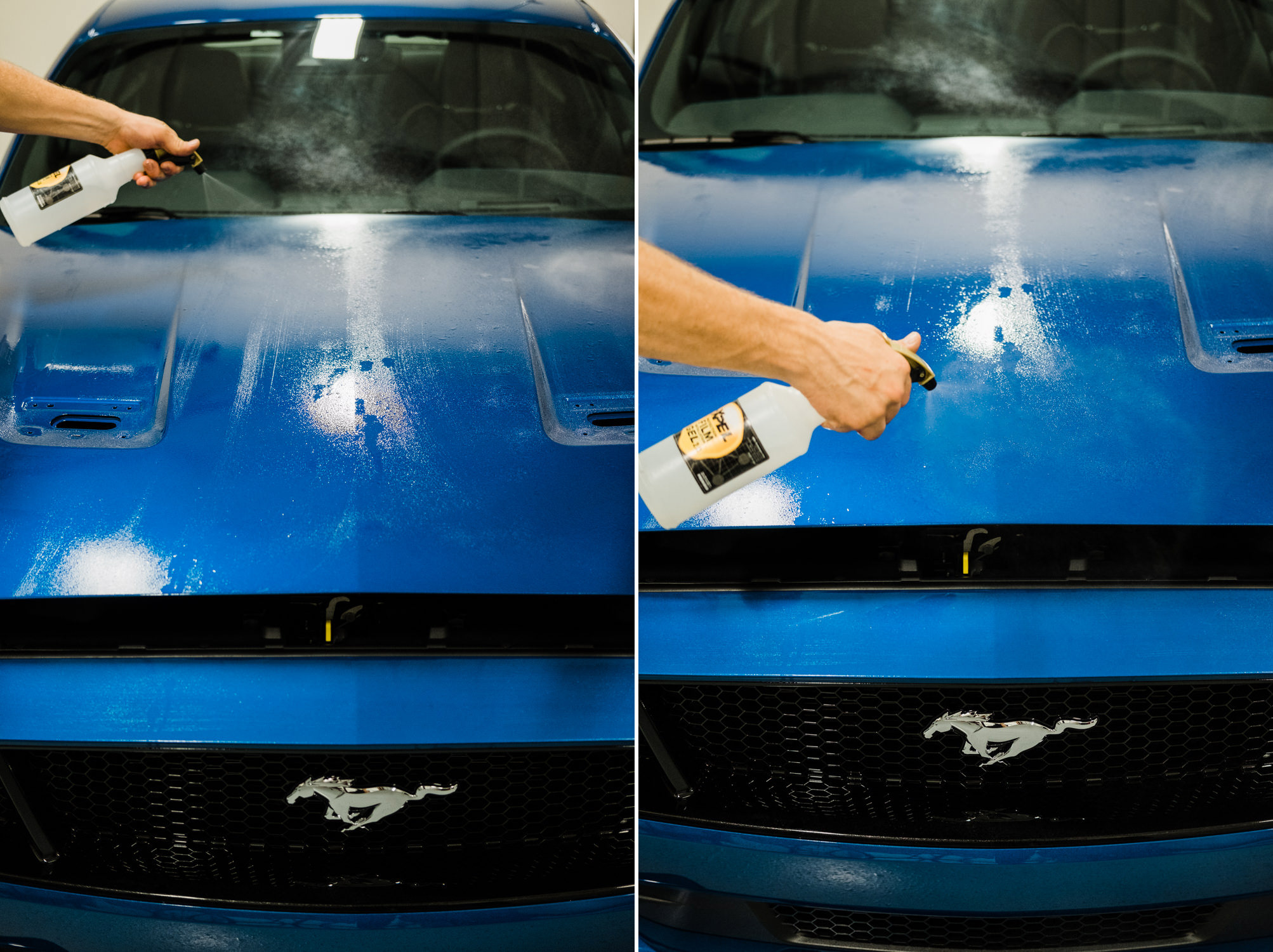 Ford Mustang GT - XPEL Paint Protection Film - Griot's Garage - Paint Correction - Ceramic Pro Coating - Ceramic Coating - XPEL Window Tint - Wichita Clear Bra-101.jpg