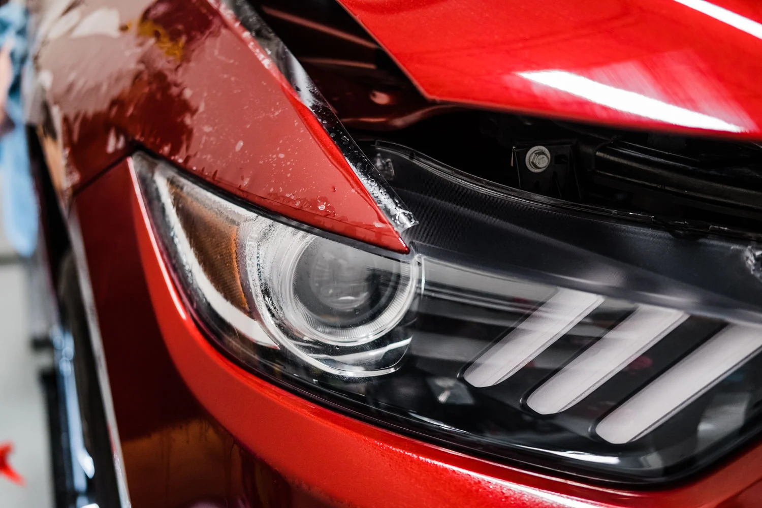 Ford Mustang GT - Wichita Clear Bra - XPEL - Ceramic Pro - Paint Protection - New Car Protection