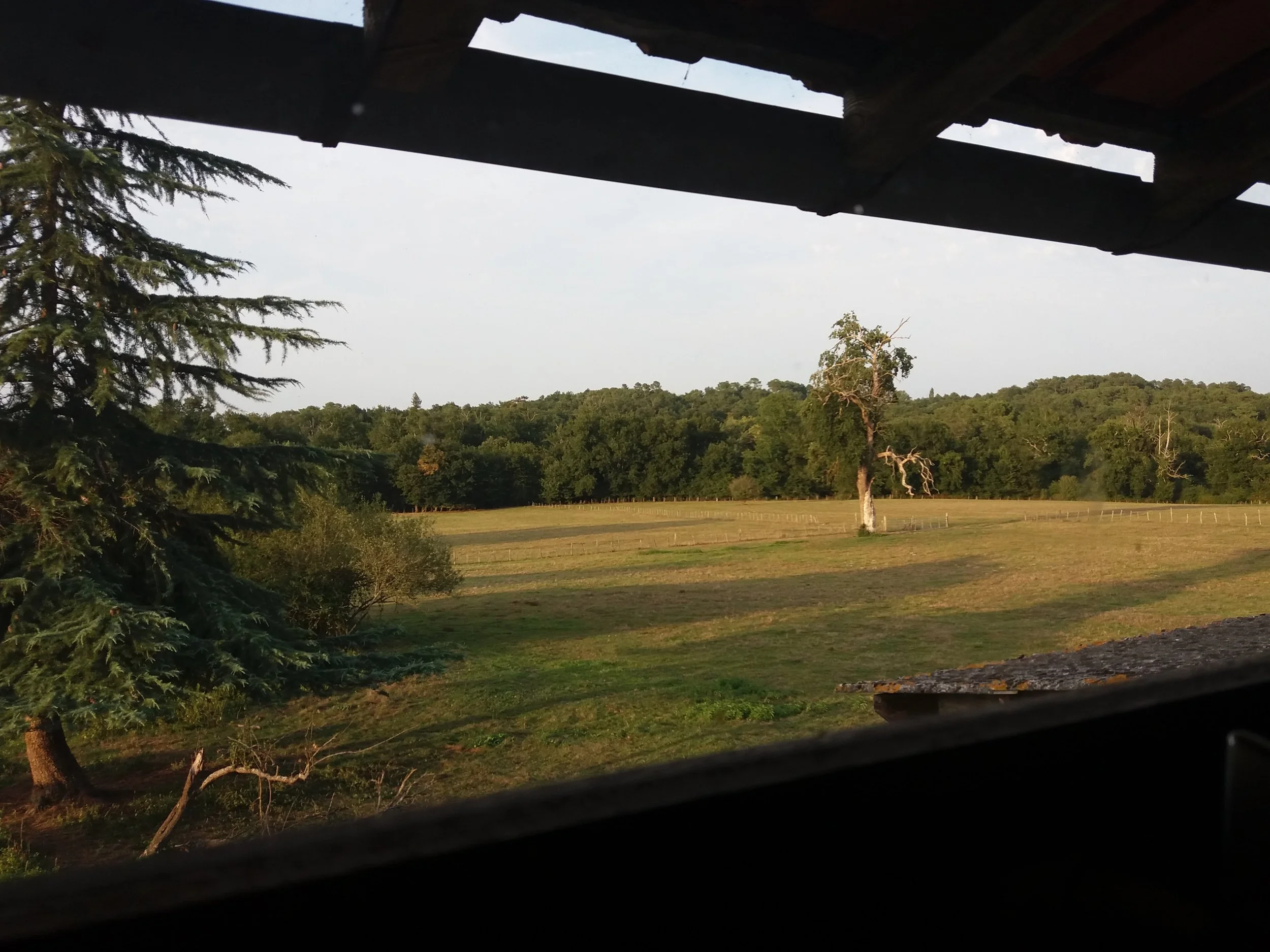 Wake up to open spaces