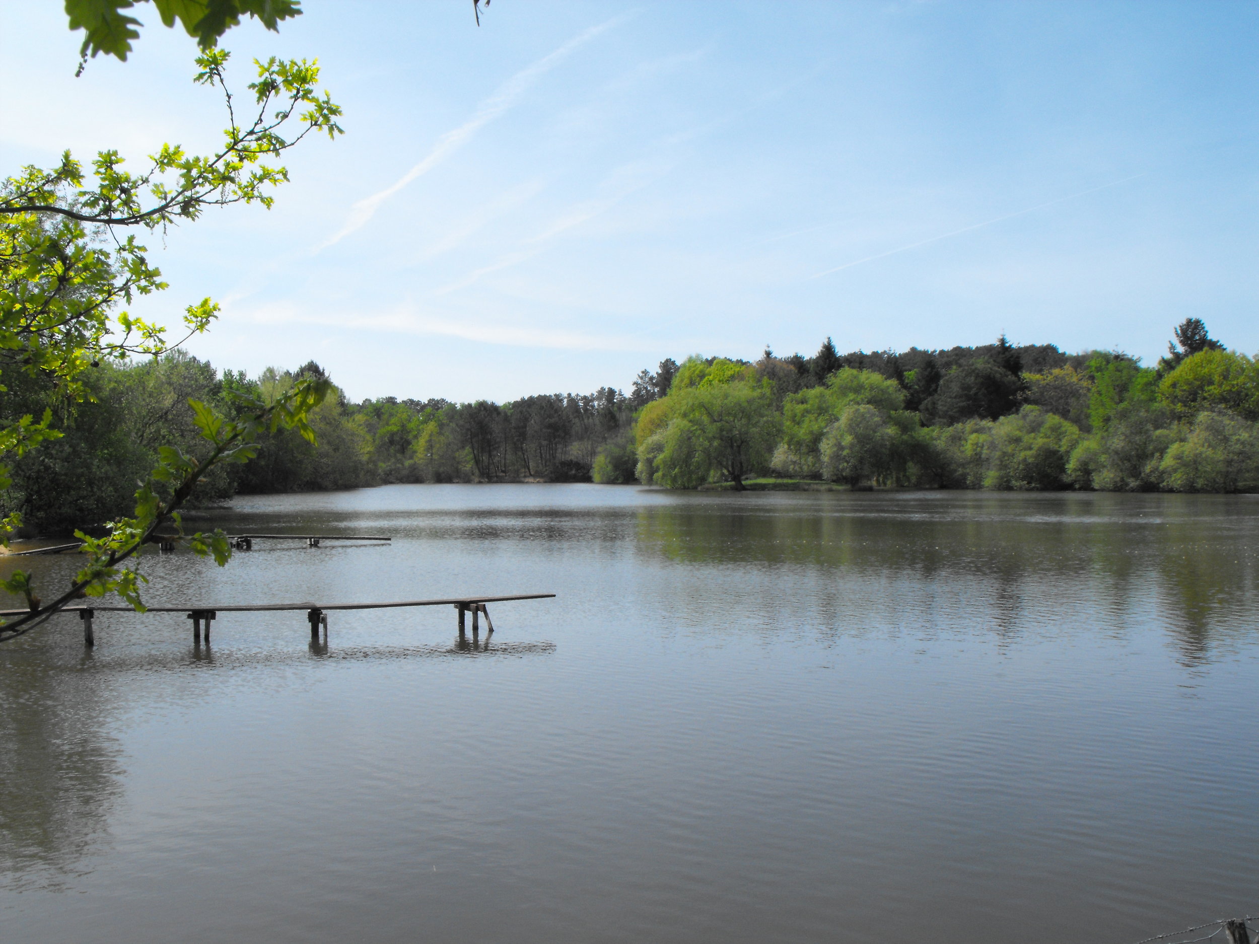 The lake in the early spring