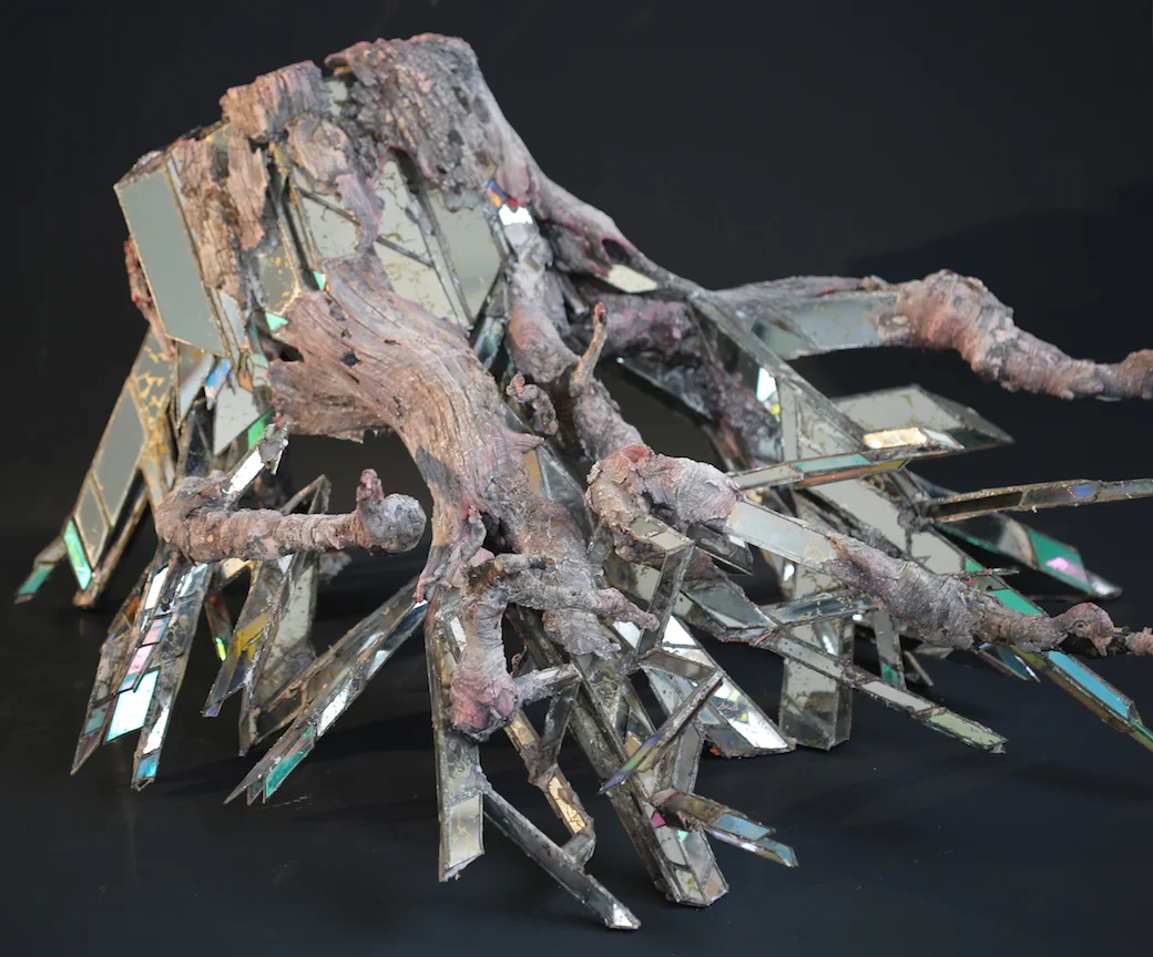 Roots-front view.JPG