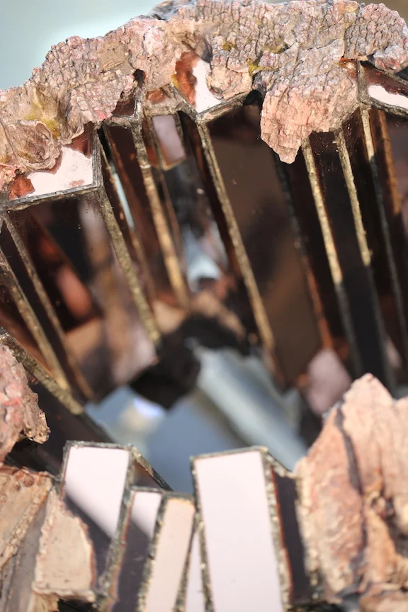 Roots-hollow detail 1.JPG